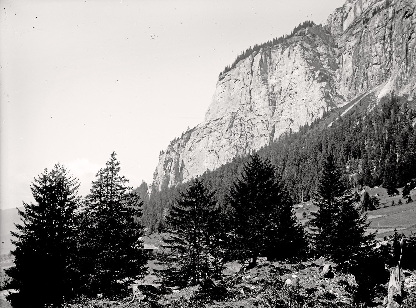 Flimserstein oberhalb des Ortes Fidaz (13.08.1900), 86688_o (DRM CC BY-NC-SA)