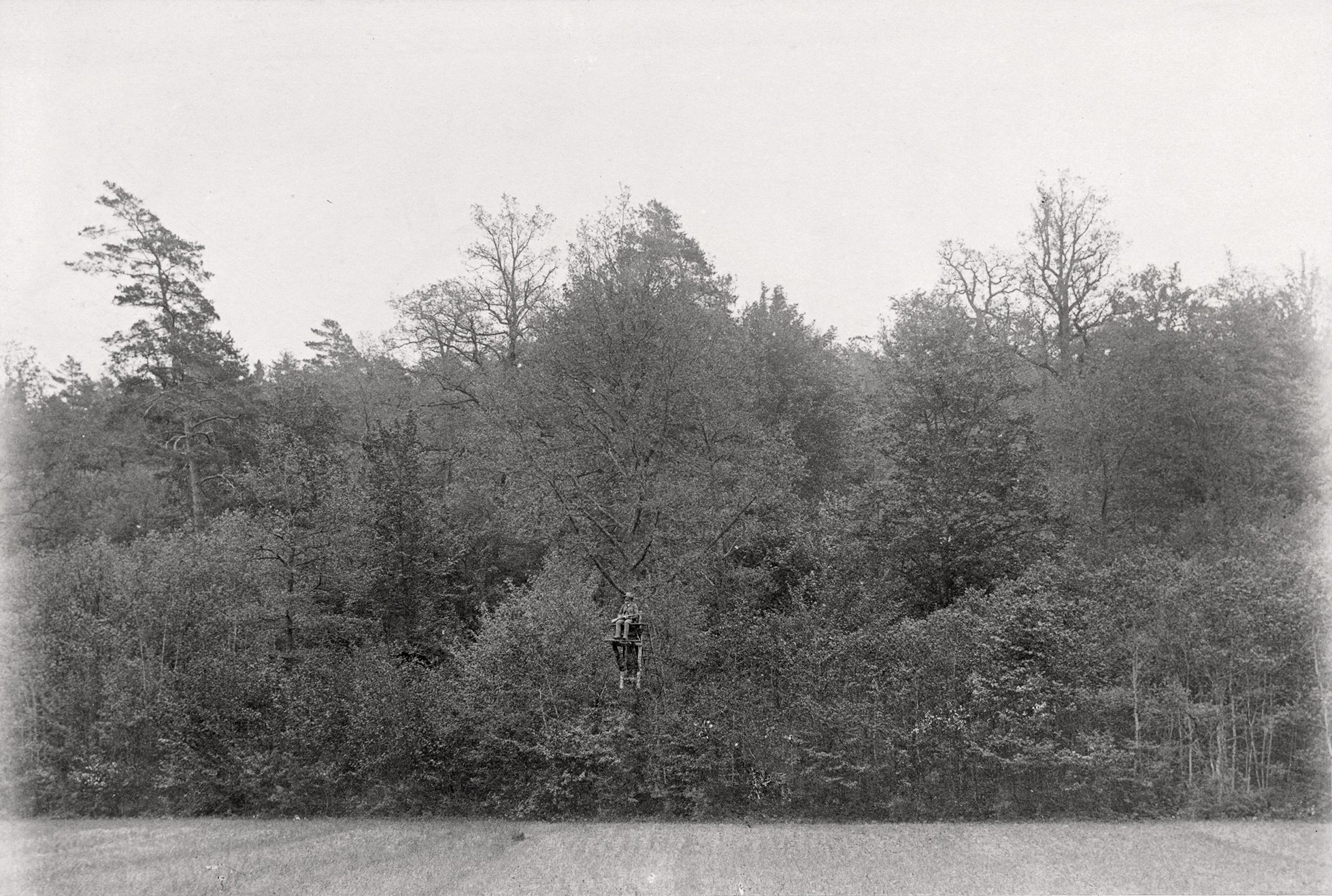 Aussicht vom Hochsitz im Rimparer Wald (Mai 1894), 89004 p_o (DRM CC BY-NC-SA)
