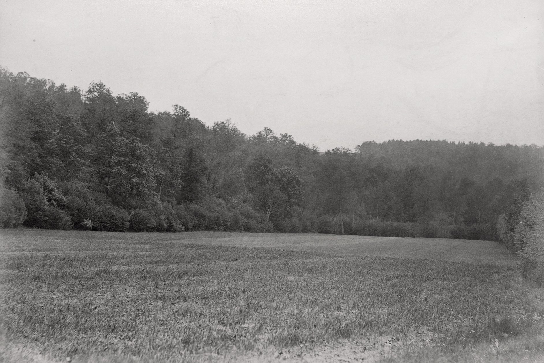 Aussicht vom Hochsitz im Rimparer Wald (Mai 1894), 89003 p_o (DRM CC BY-NC-SA)