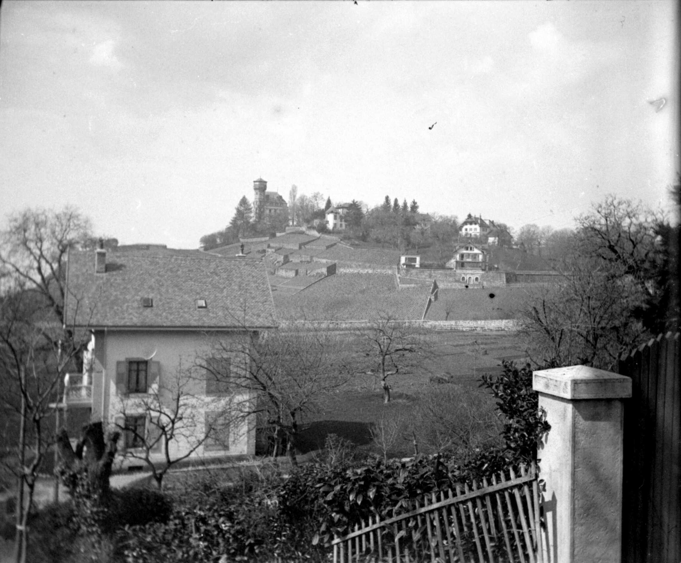 Weinberge unterhalb des Chateau de Crêtes (Frühjahr 1901), 87013 sn R_o (DRM CC BY-NC-SA)