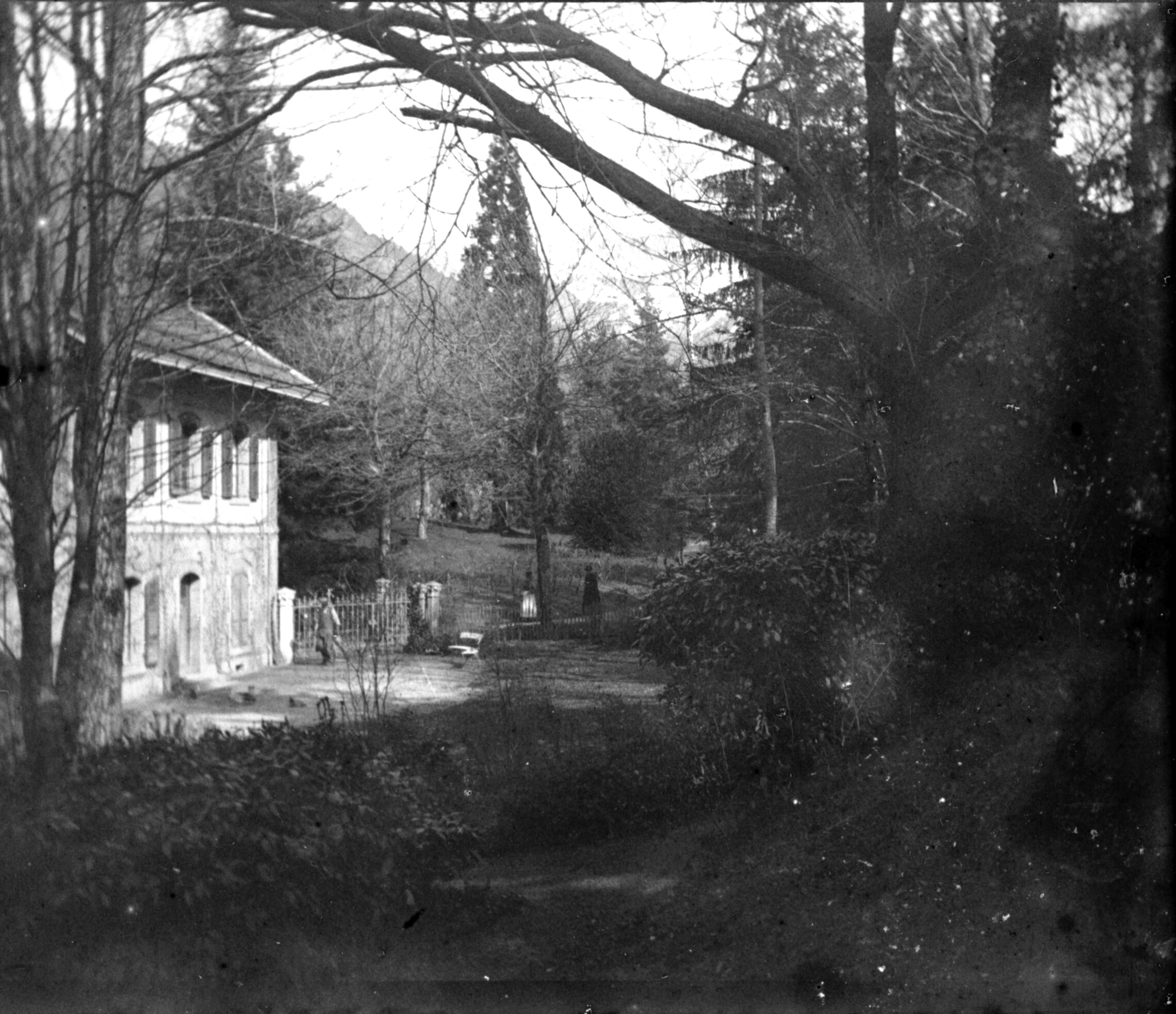 Park des Herrenhauses Chateau de Crêtes (Frühjahr 1901), 87014 sn R_o (DRM CC BY-NC-SA)