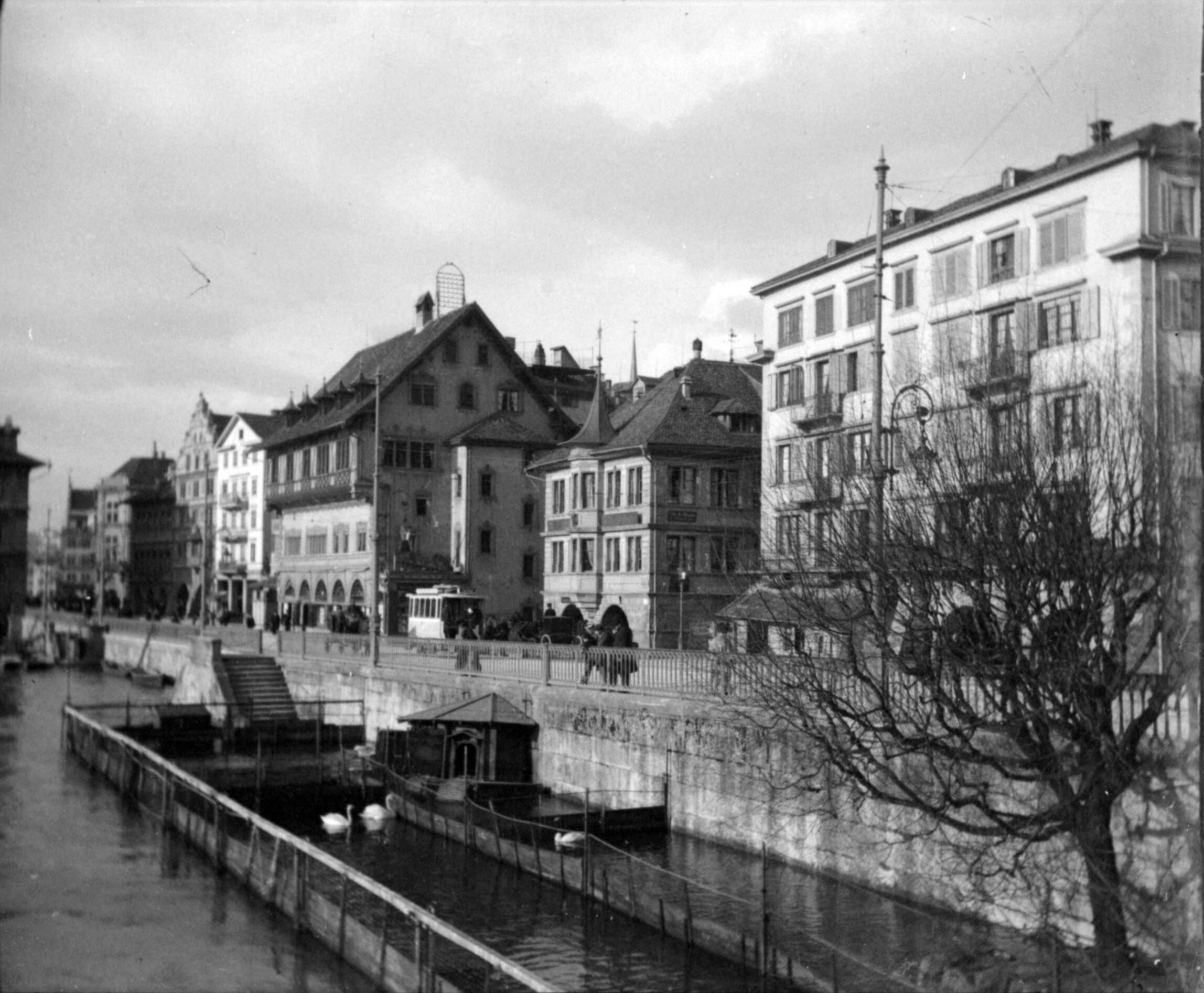 Schwanenkolonie am Rathausquai in Zürich (Frühjahr 1901), 87025 sn R_o (DRM CC BY-NC-SA)