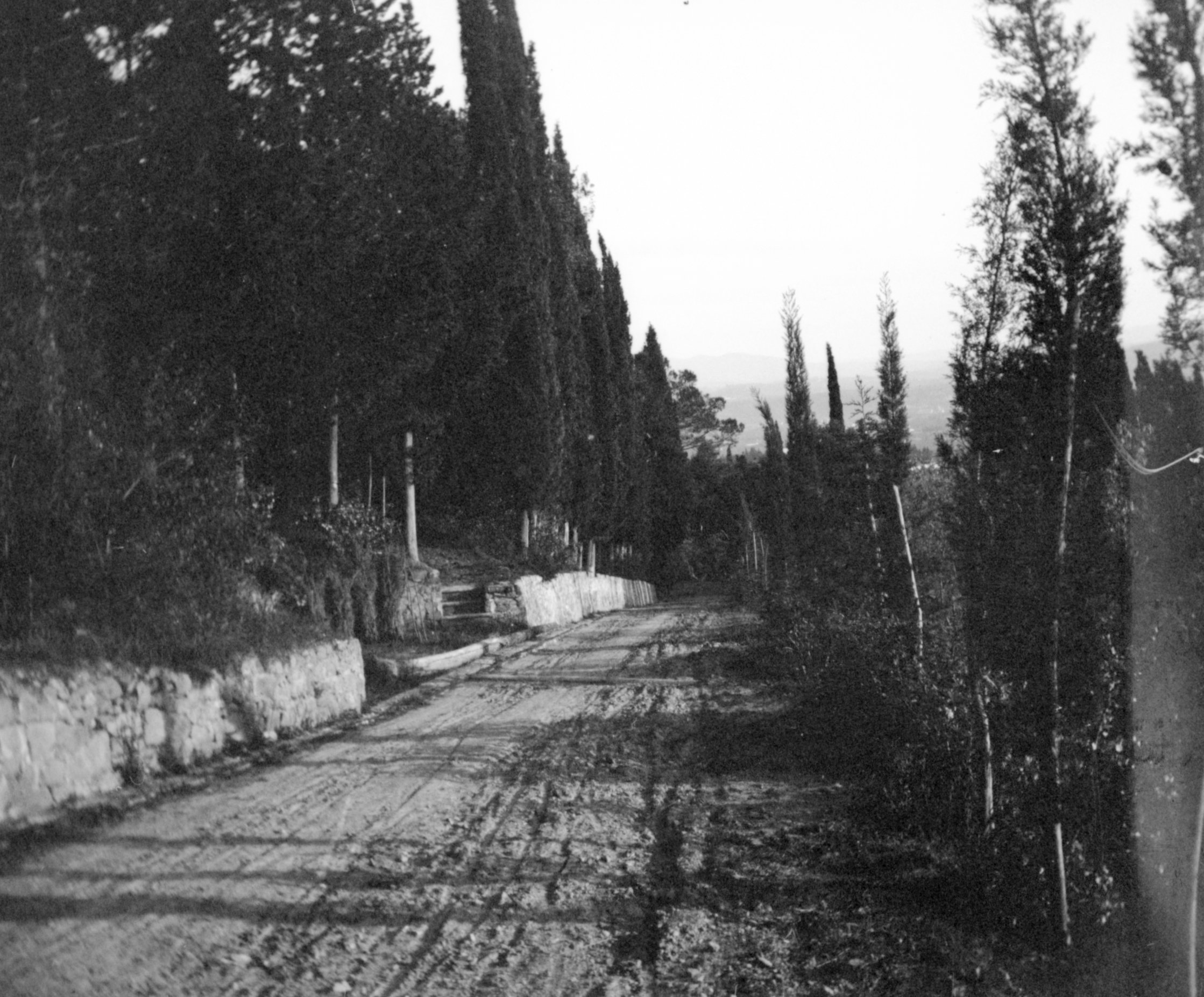 Straße vor der Villa Bellagio bei Fiesole (27.03.1902), 87167 sn R_o (DRM CC BY-NC-SA)