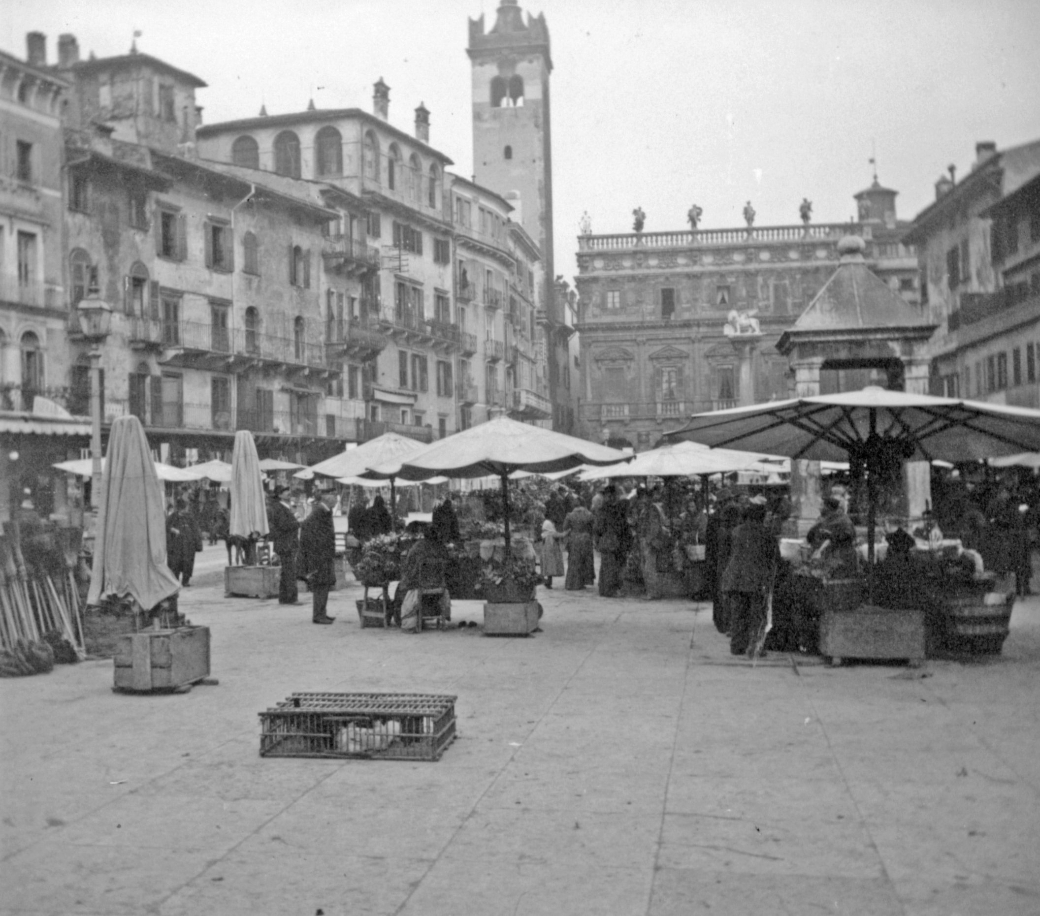 Piazza delle Erbe in Verona (April 1902), 87190 L_o (DRM CC BY-NC-SA)
