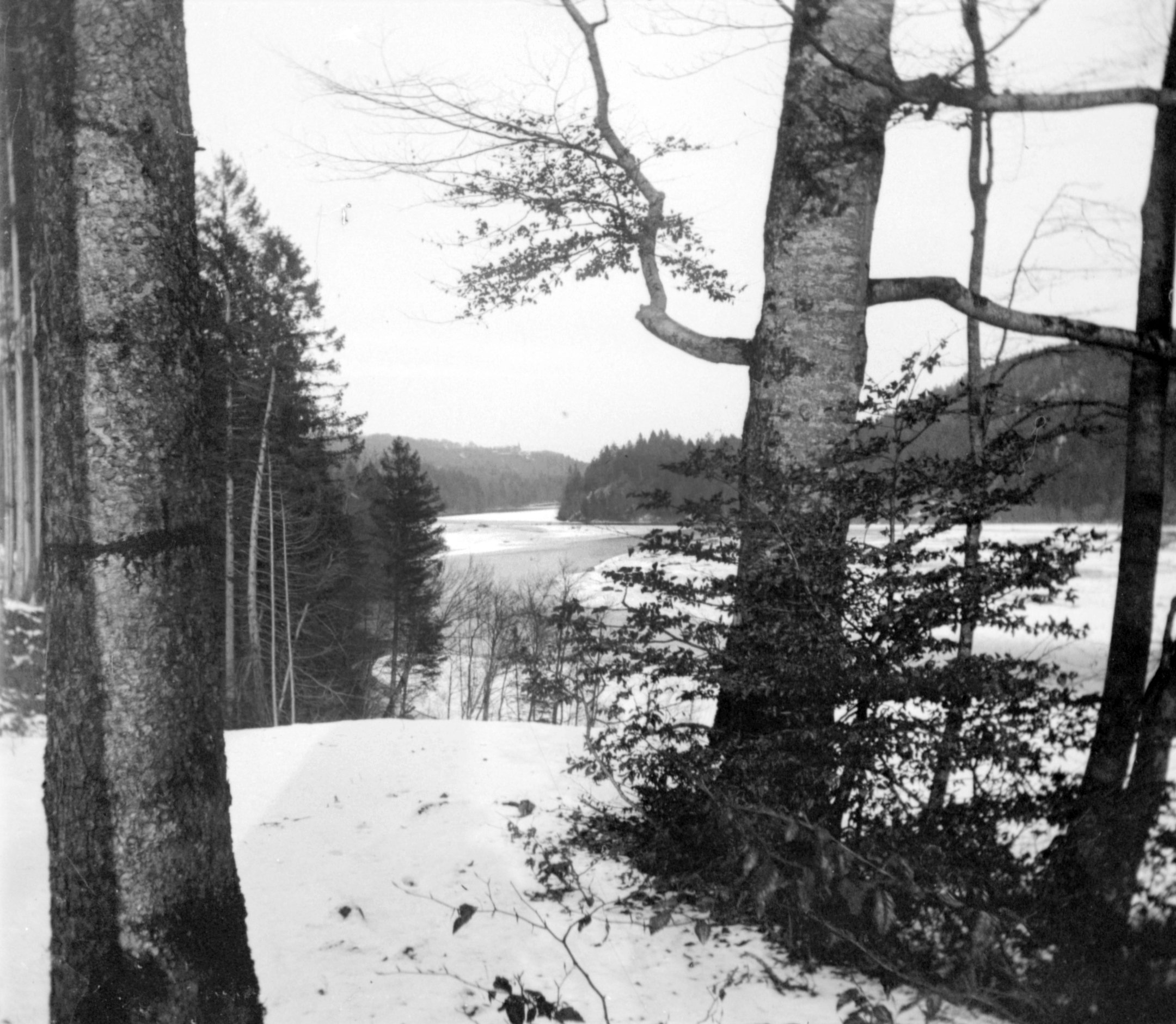 Schneebedeckte Flußauen im Isartal südlich von München (Winter 1902/03), 87263 sn L_o (DRM CC BY-NC-SA)