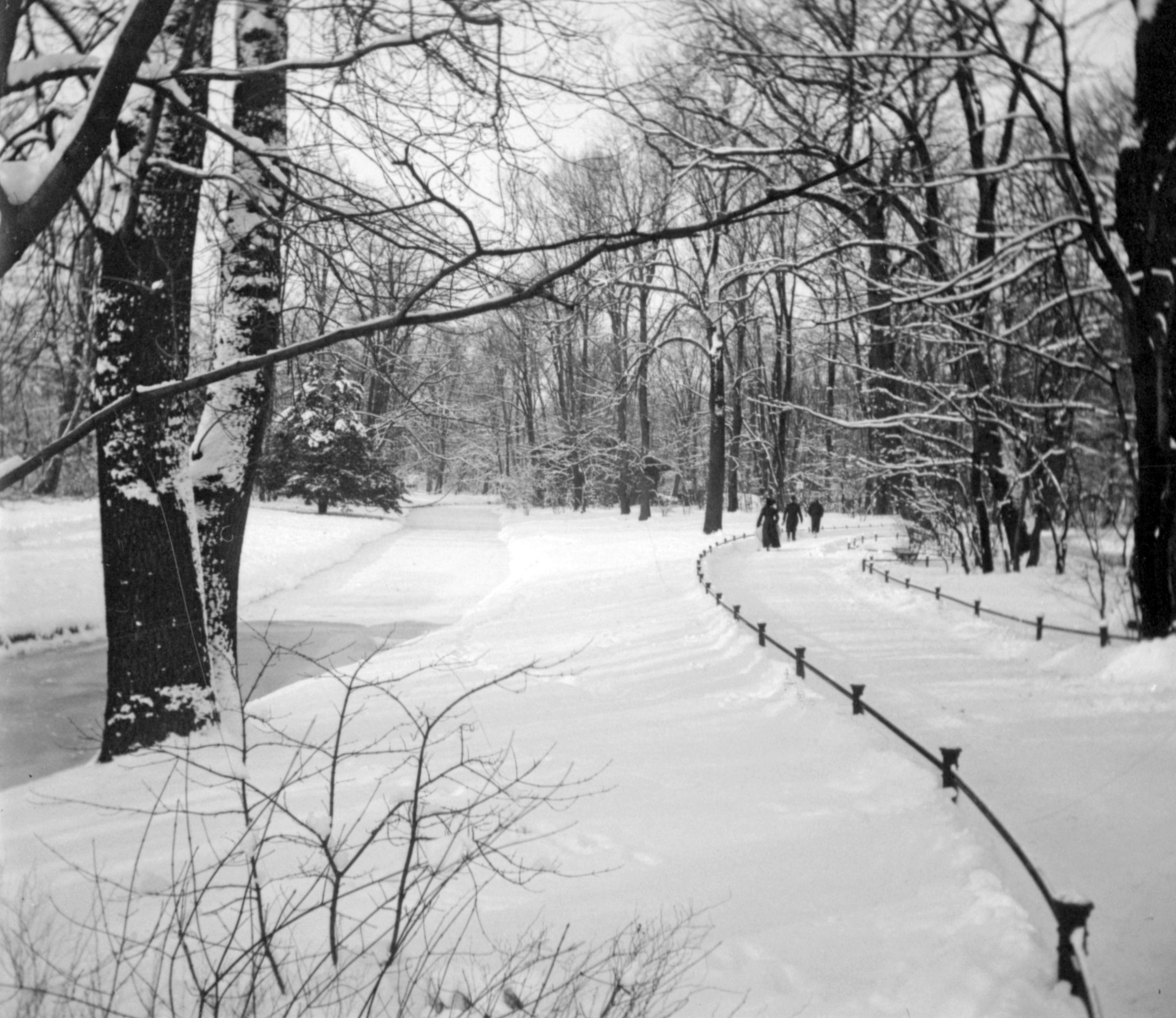 Englischer Garten in München (Winter 1902/03), 87265 sn L_o (DRM CC BY-NC-SA)