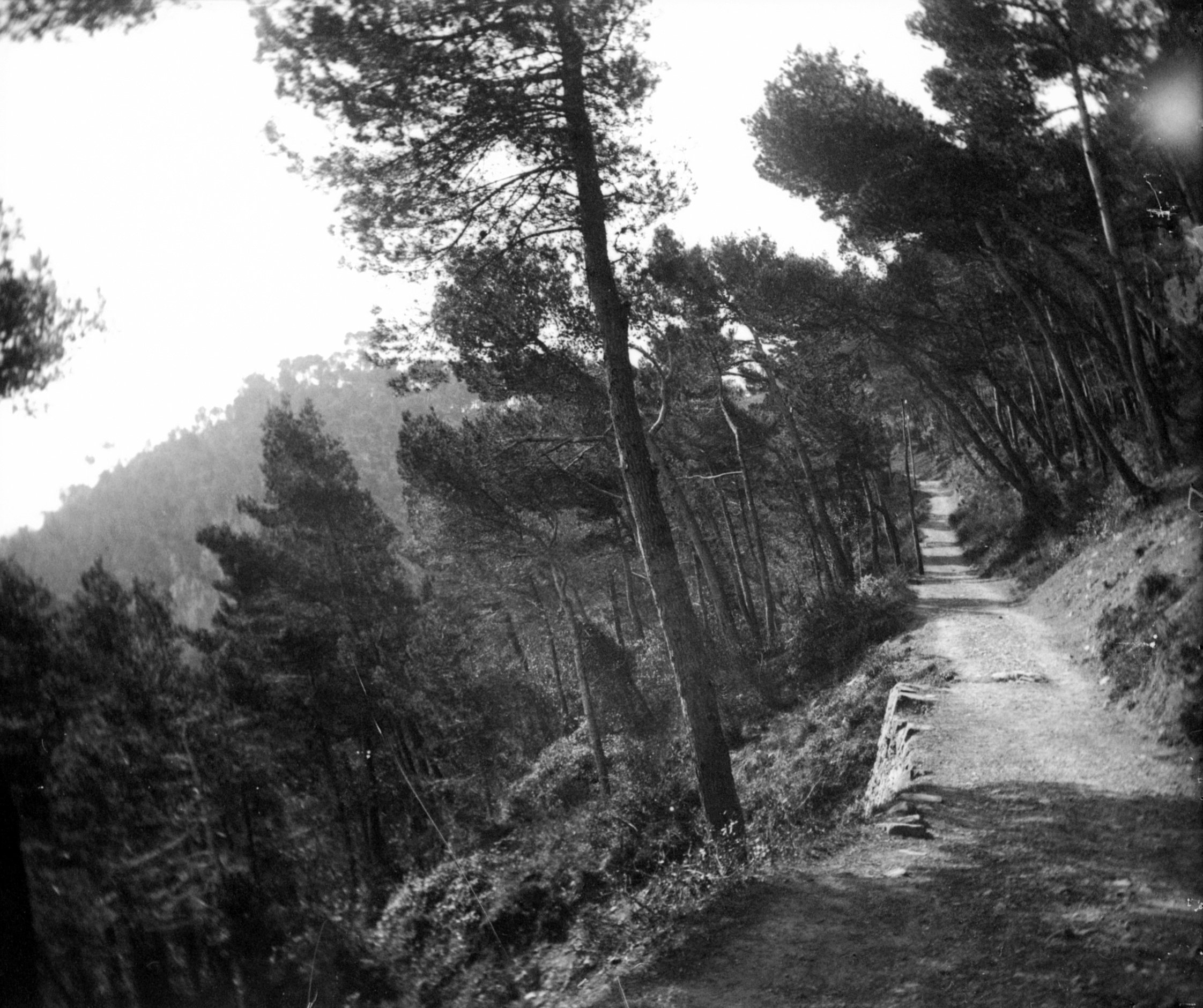 Wanderweg von Santa Margherita Ligure nach Portofino (März/April 1903), 87284 sn R_o (DRM CC BY-NC-SA)