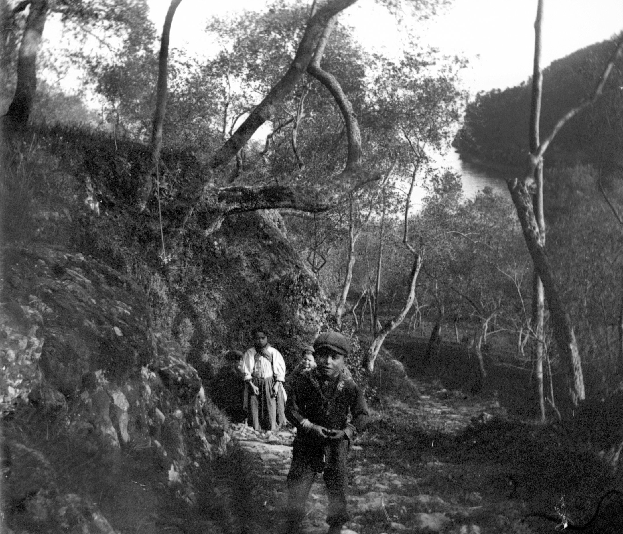 Gruppe von Kindern oberhalb von Paraggi (März/April 1903), 87299 sn L_o (DRM CC BY-NC-SA)