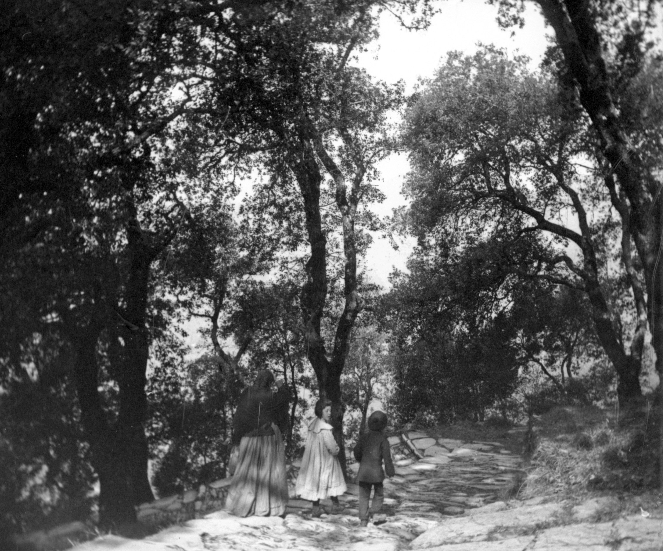 Auf der Alta Via bei Madonna di Montallegro (März/April 1903), 87355 sn R_o.jpg (DRM CC BY-NC-SA)