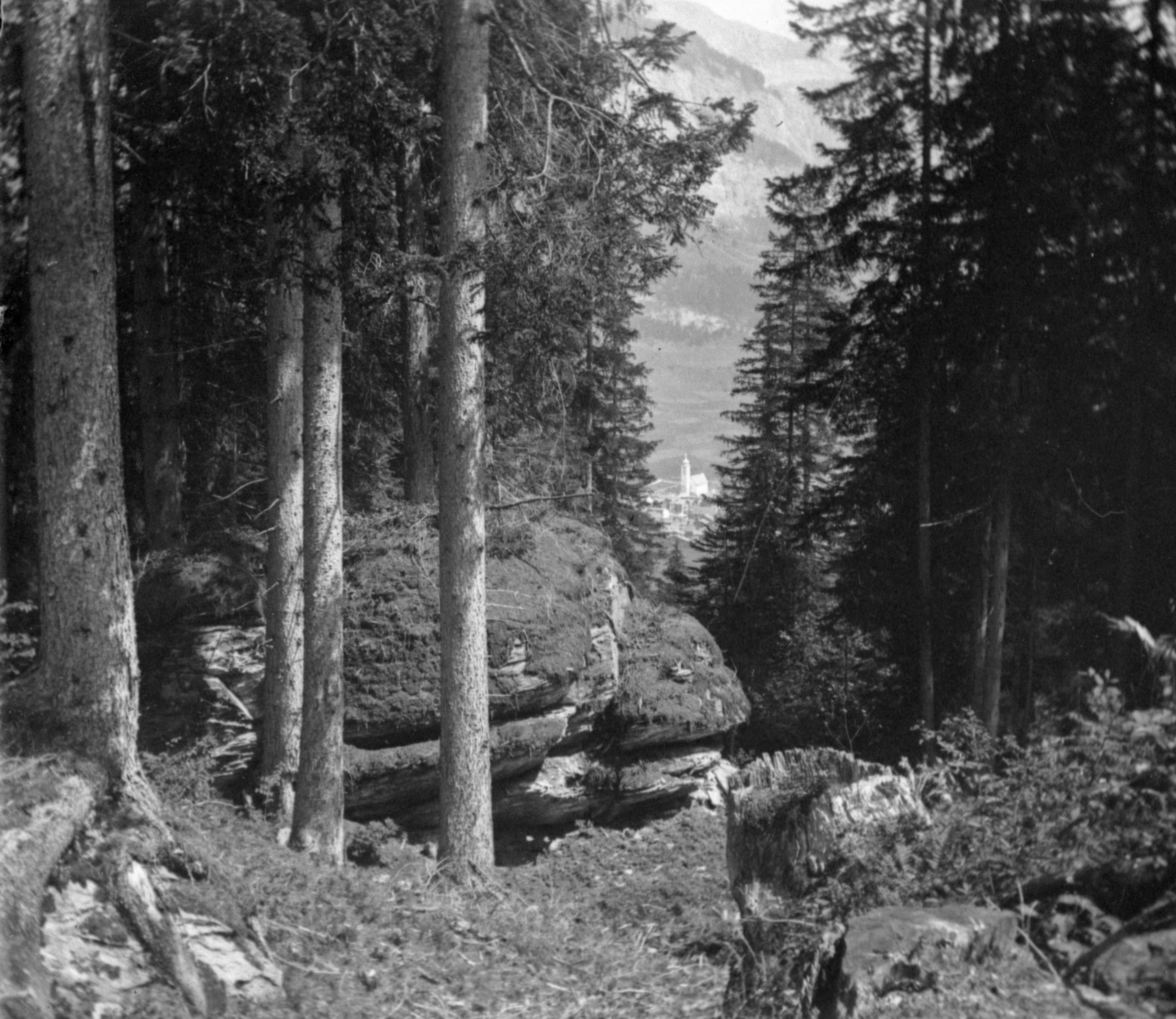 Blick vom Runcawald auf Flims (August 1903), 87388 sn L_o.jpg (DRM CC BY-NC-SA)