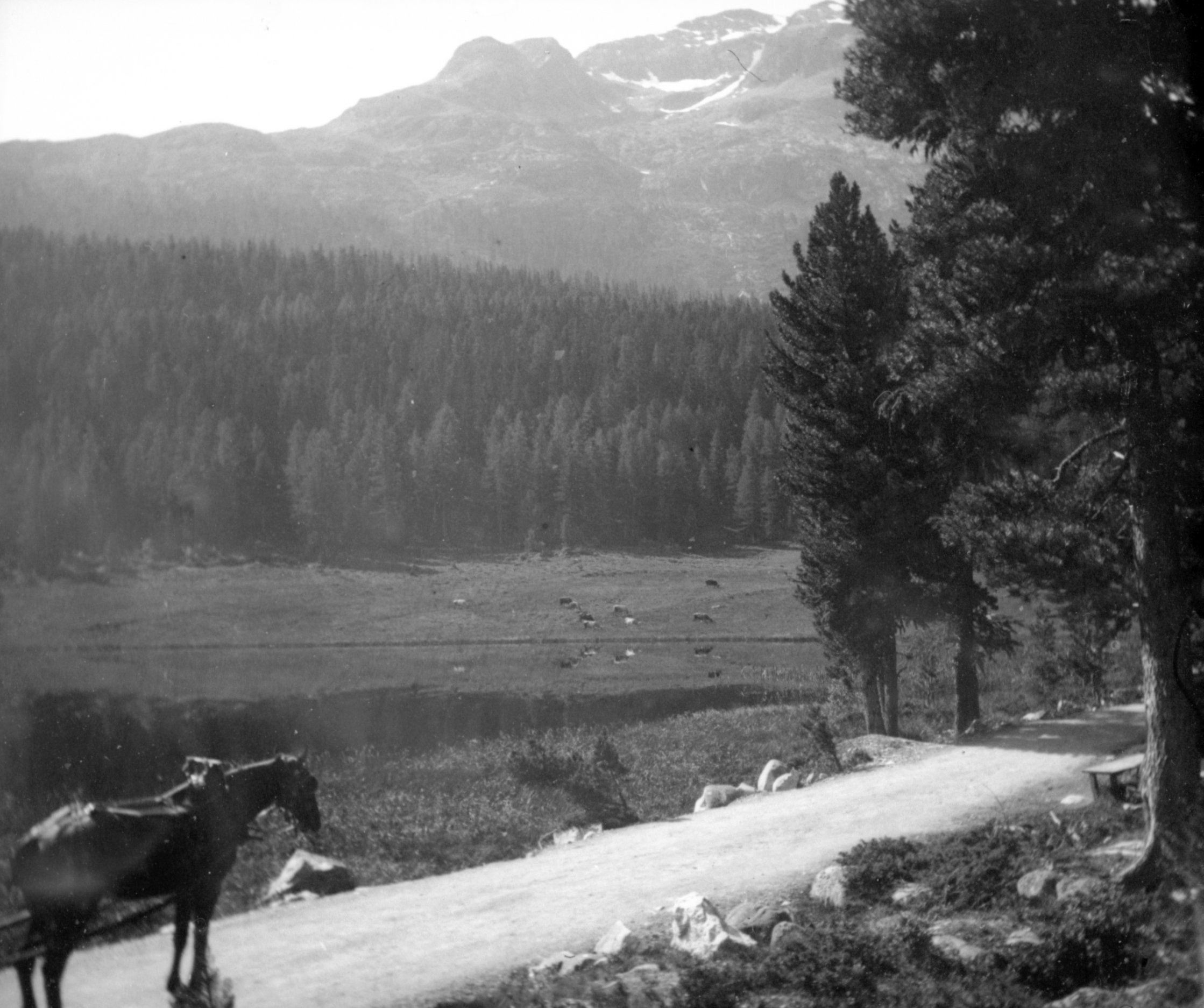 Fahrstraße am Lej da Staz zwischen Pontresina und St. Moritz (August-September 1903), 87405 sn L_o.jpg (DRM CC BY-NC-SA)