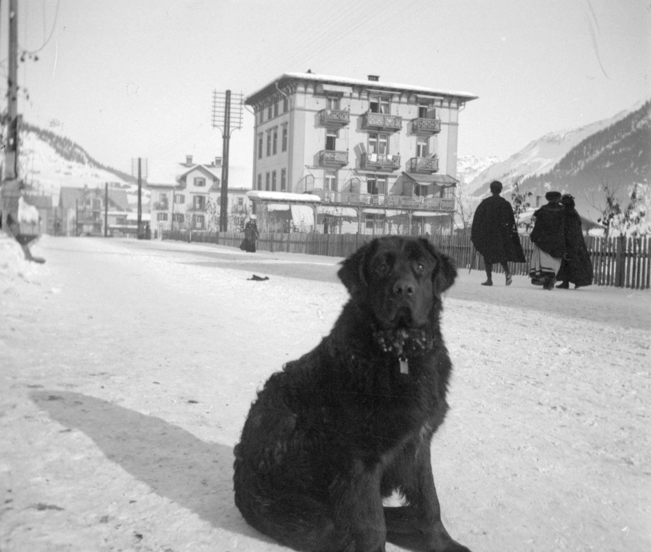 Schwarzer Hund auf der Promenade in Davos (Dezember 1903-Januar 1904), 87454 sn R_o.jpg (DRM CC BY-NC-SA)