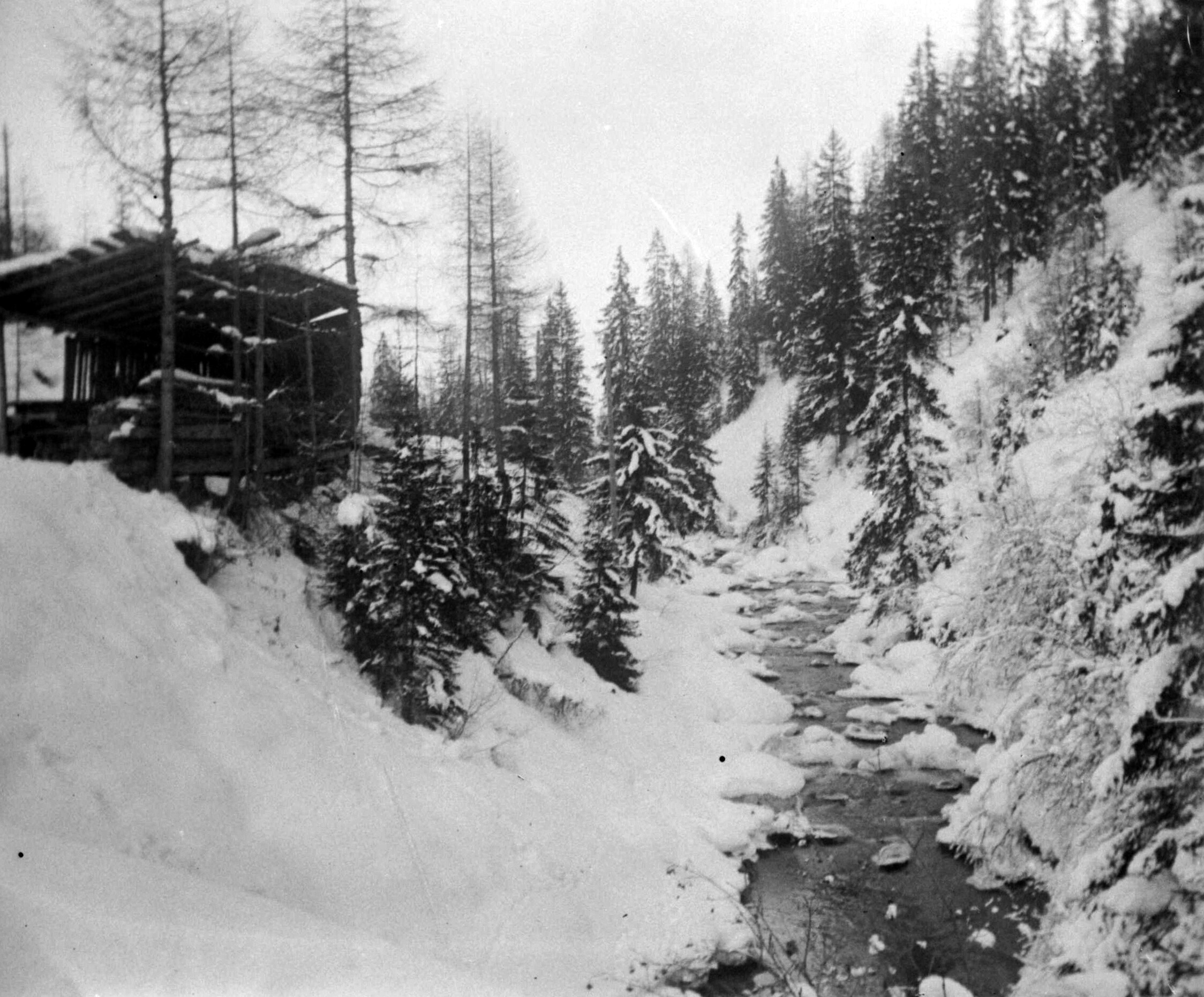 Bergbach bei Davos Frauenkirch (Dezember 1903-Januar 1904), 87478 sn R (DRM CC BY-NC-SA)