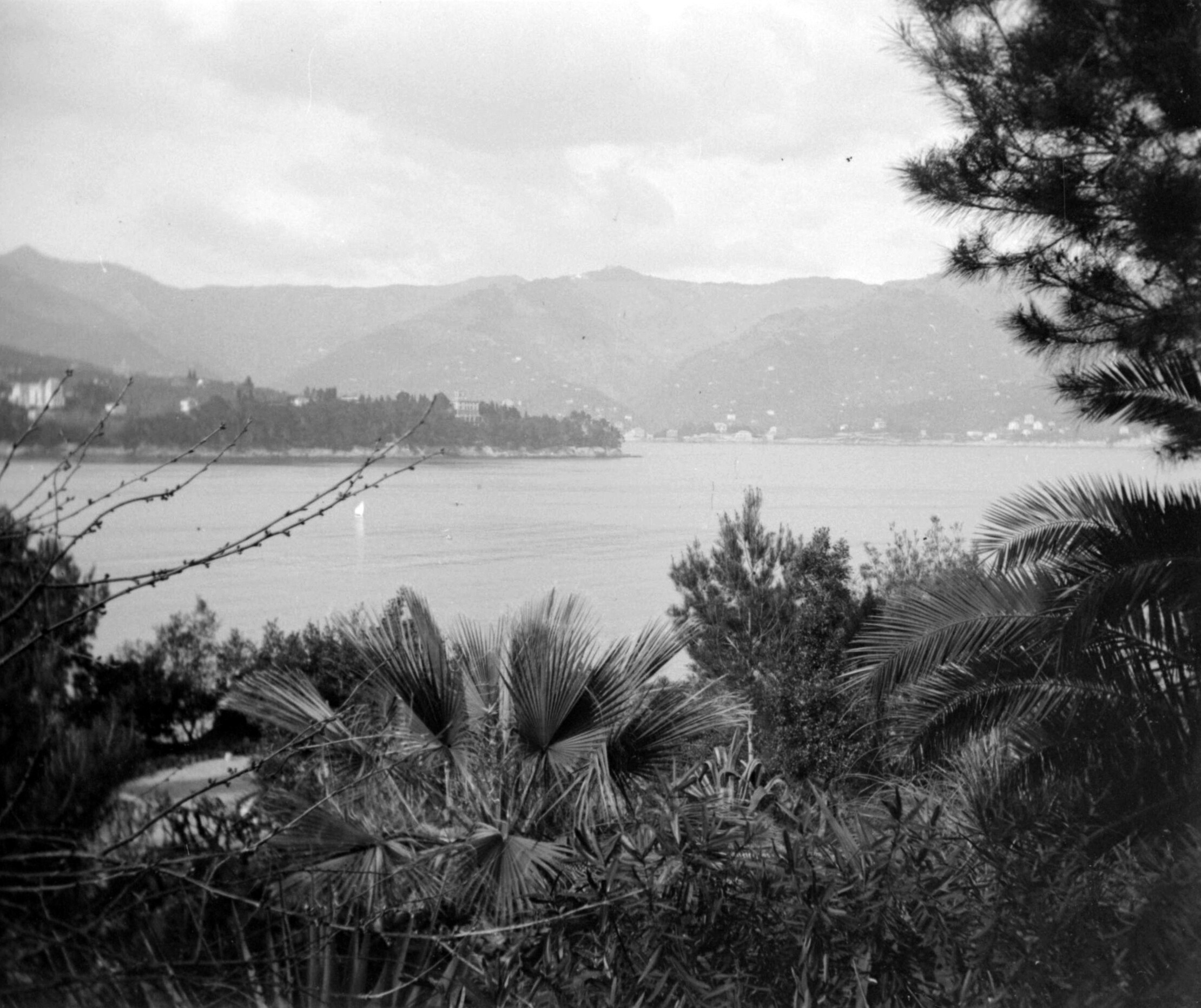 Aussicht von der Villa Costa in Santa Margherita Ligure (März-April 1904), 87493 sn R (DRM CC BY-NC-SA)