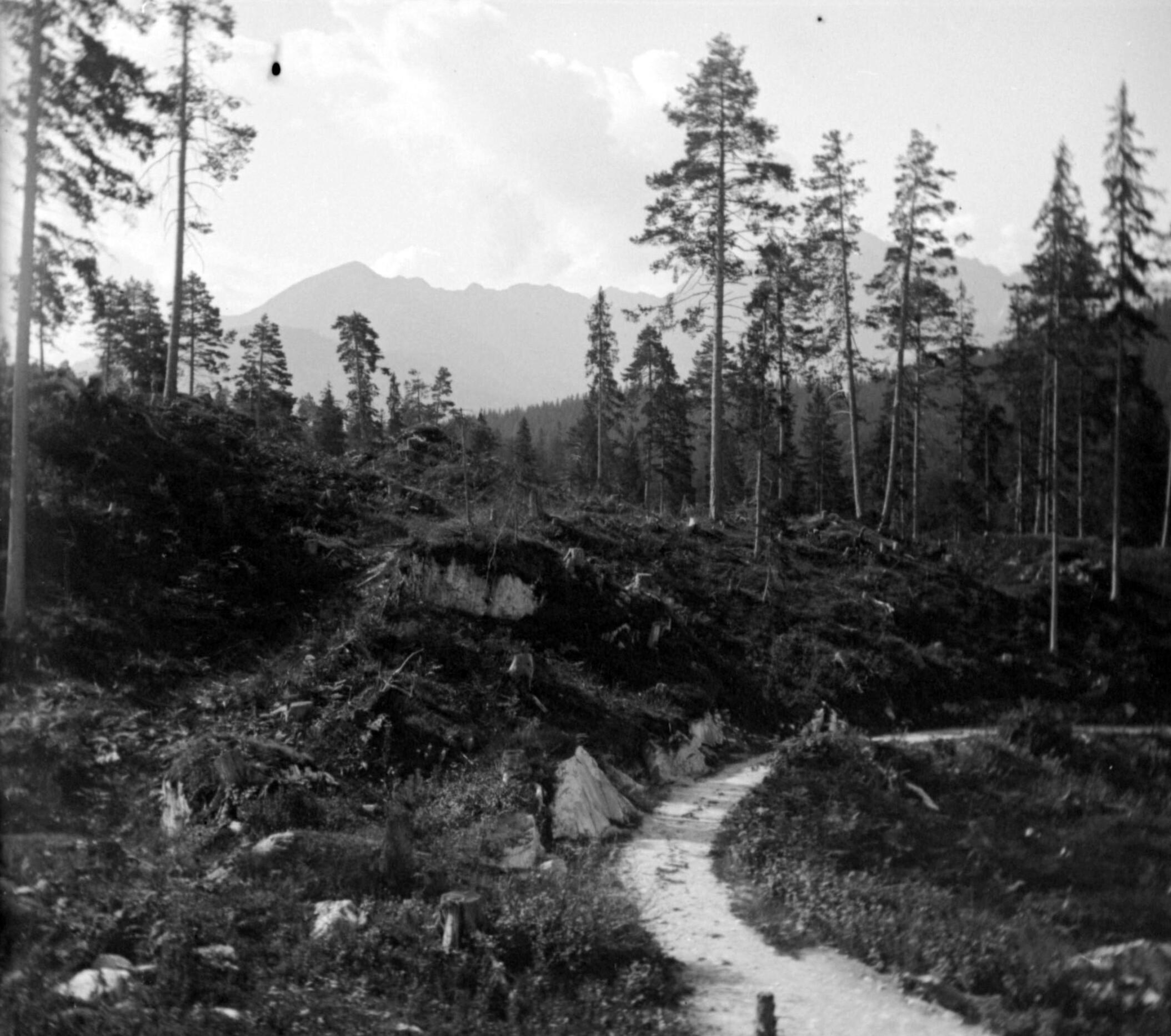 Wanderweg zum Caumasee bei Flims (August 1904), 87525 sn L (DRM CC BY-NC-SA)