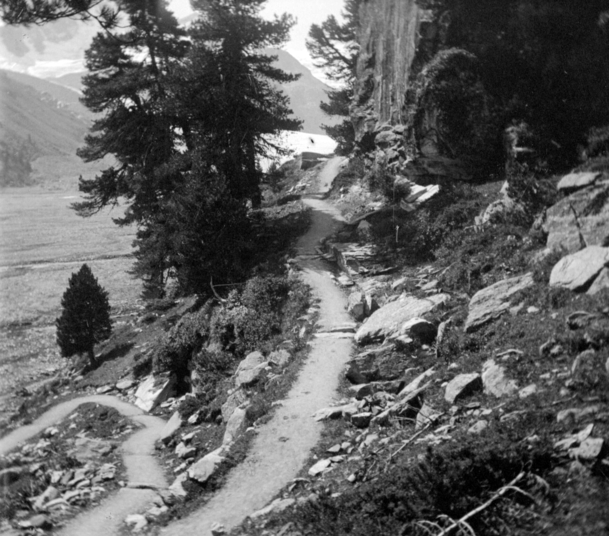 Wanderweg im Val Roseg (August-September 1904), 87535 sn L (DRM CC BY-NC-SA)