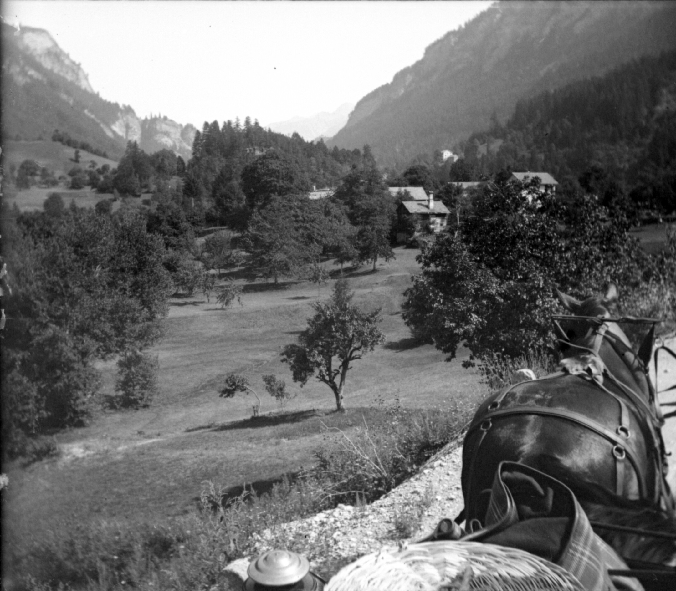 Dorf Campi bei Sils im Domleschg (August 1904), 87530 sn L (DRM CC BY-NC-SA)