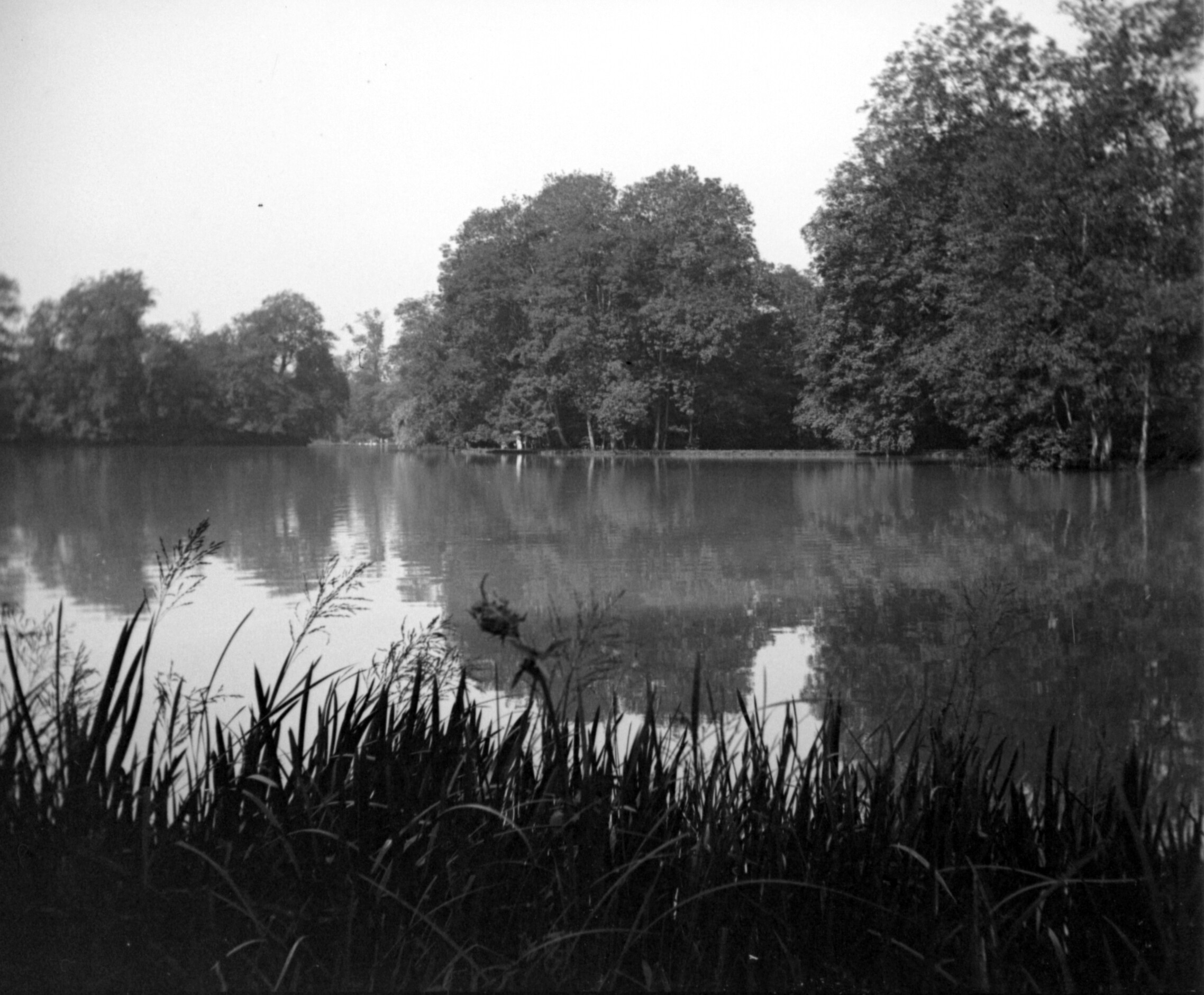 Kleinhesseloher See im Englischen Garten in München (Sommer 1904), 87542 sn R (DRM CC BY-NC-SA)