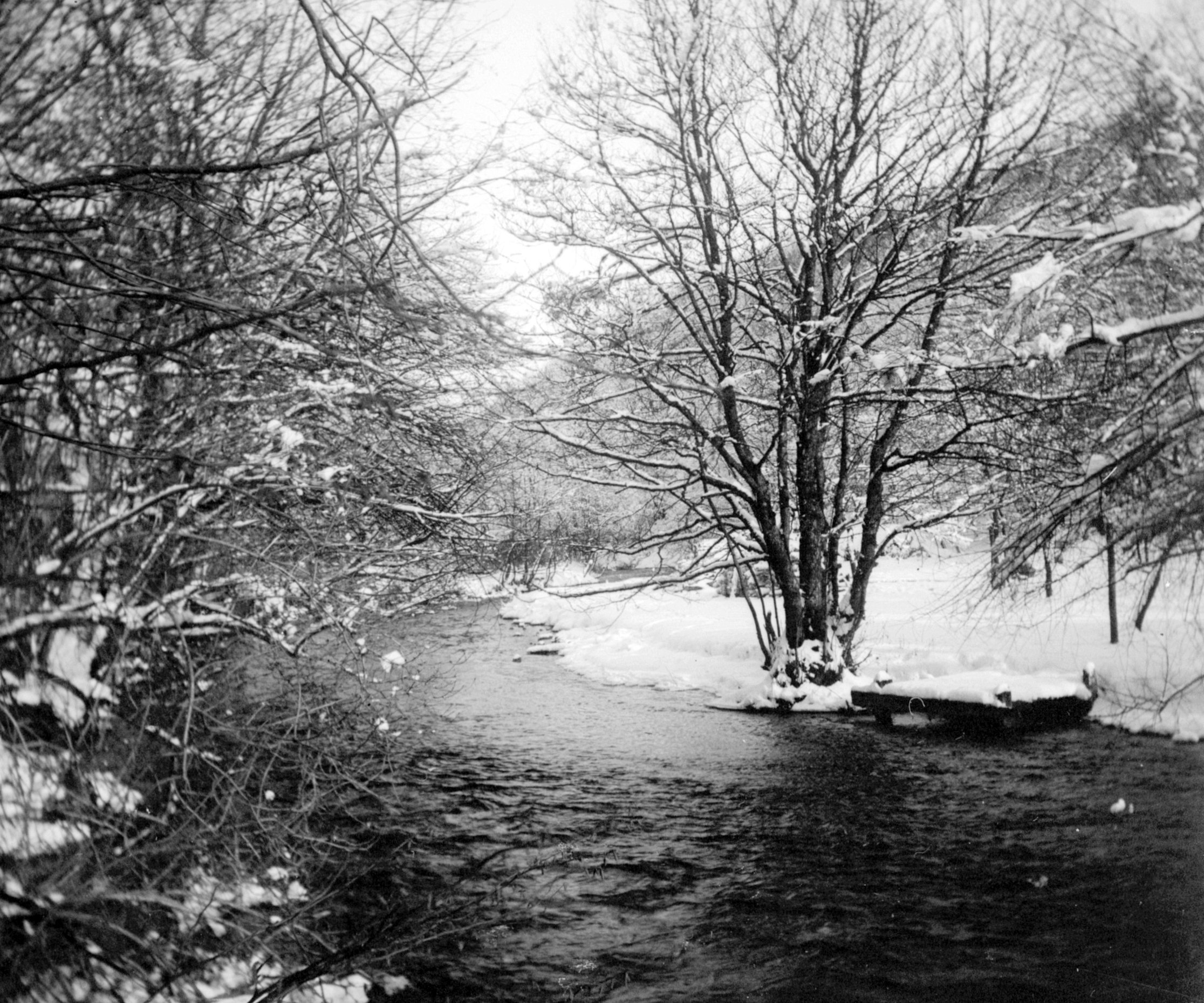 Bach im Englischen Garten in München (Winter 1902/03), 87269 sn R_o (DRM CC BY-NC-SA)