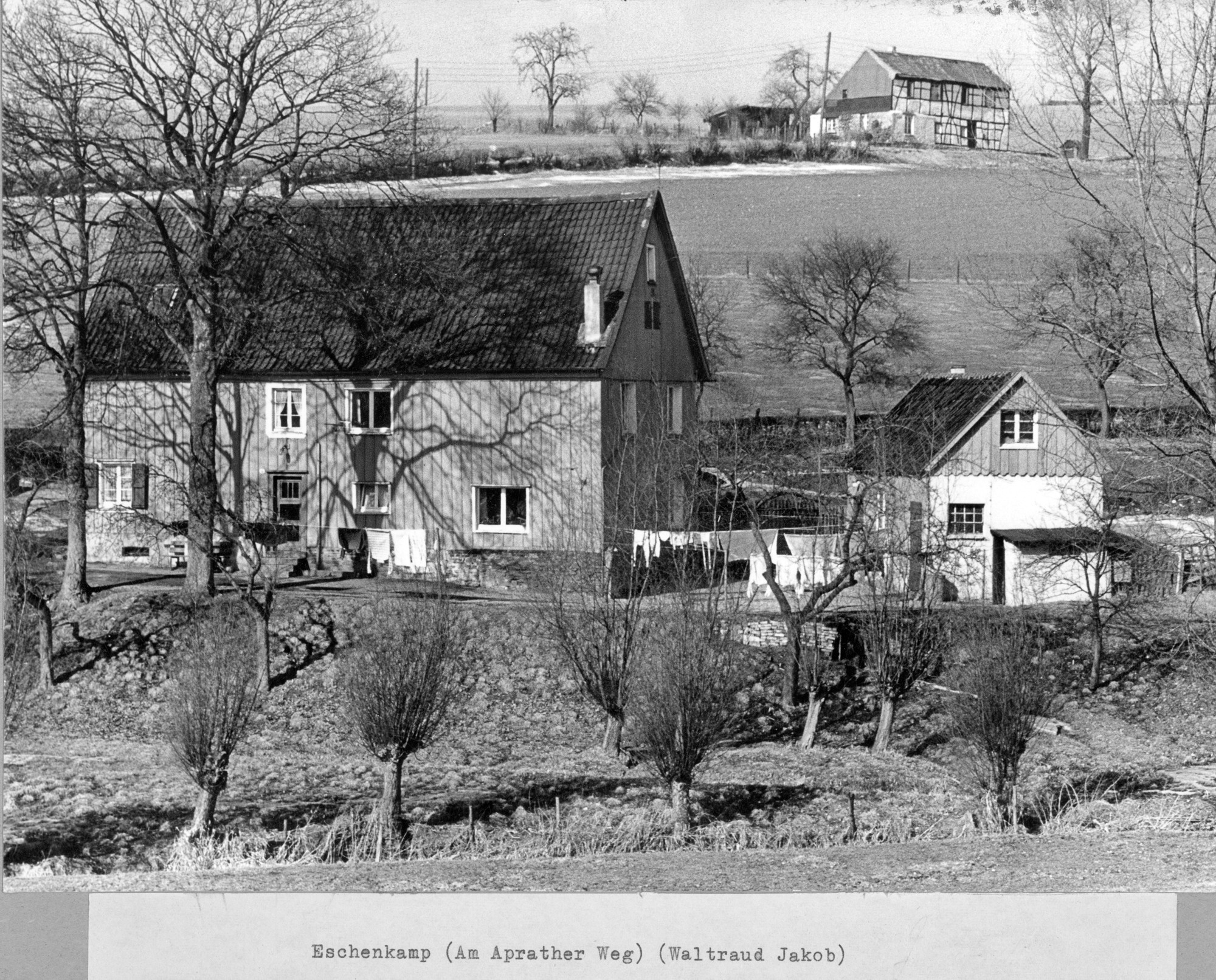Ansicht vom Eschenkamp am Aprather Weg in Elberfeld ((C) Sammlung Bergischer Geschichtsverein e.V. CC BY-NC)