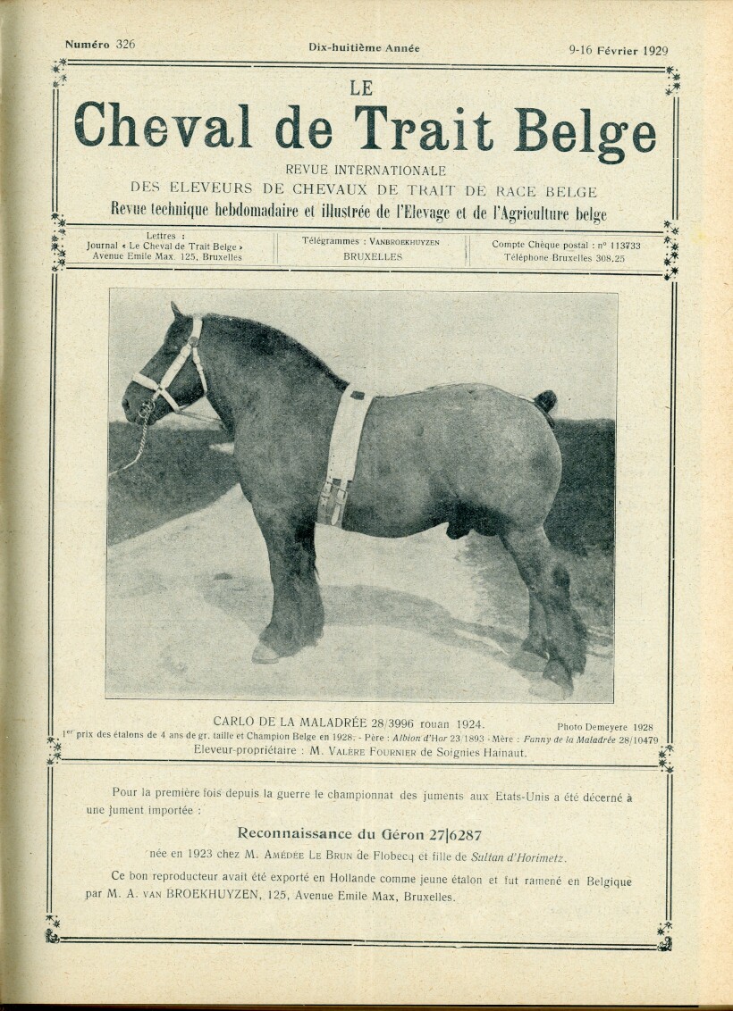 Le Cheval de trait belge 1929 (Herausgeber RR-R)