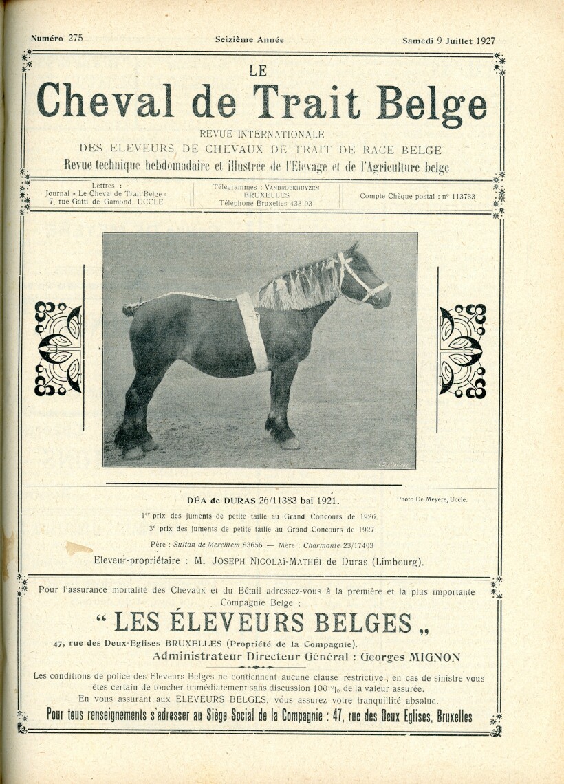 Le Cheval de trait belge 1927 (Herausgeber RR-R)