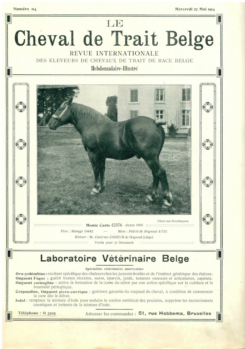 Le Cheval de trait belge 1914 (Herausgeber RR-R)