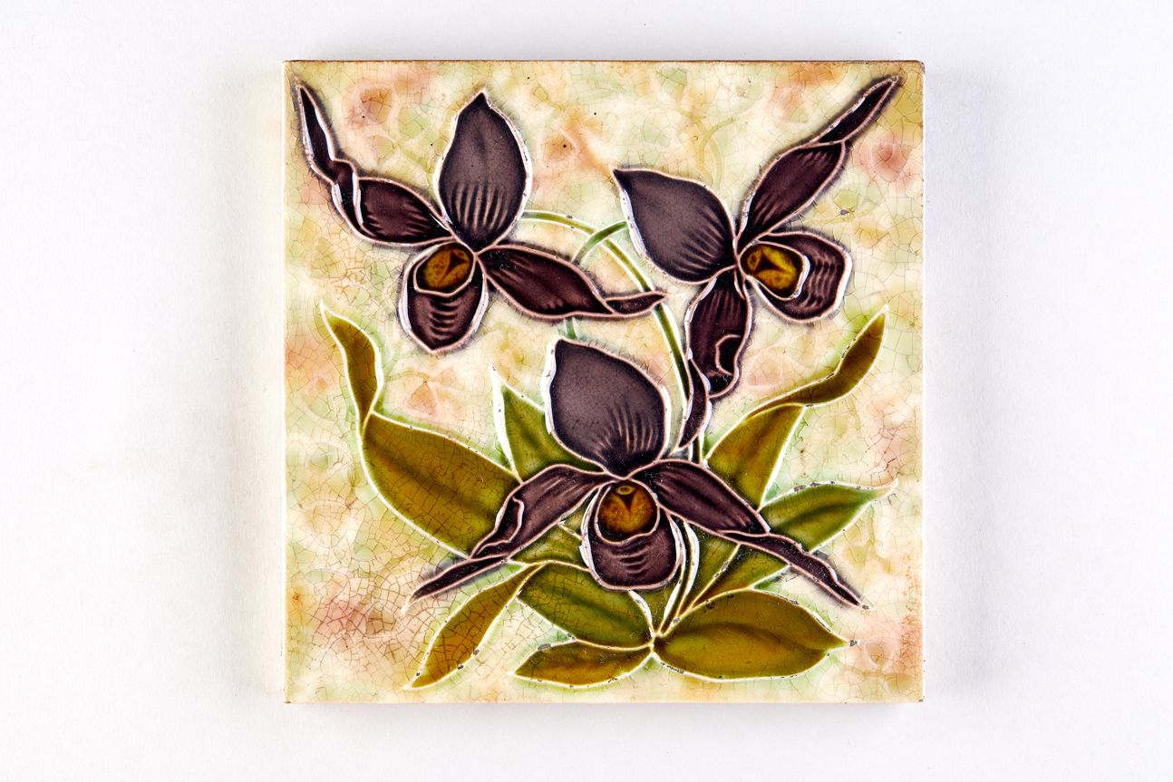 Orchidee "Frauenschuh", drei Blüten (KreisMuseum Zons CC BY-NC-SA)