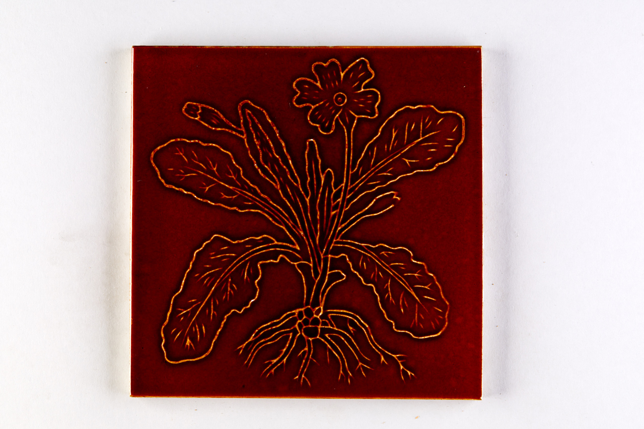 Primel, ganze Pflanze mit Wurzeln, Dekor monochrom (KreisMuseum Zons CC BY-NC-SA)
