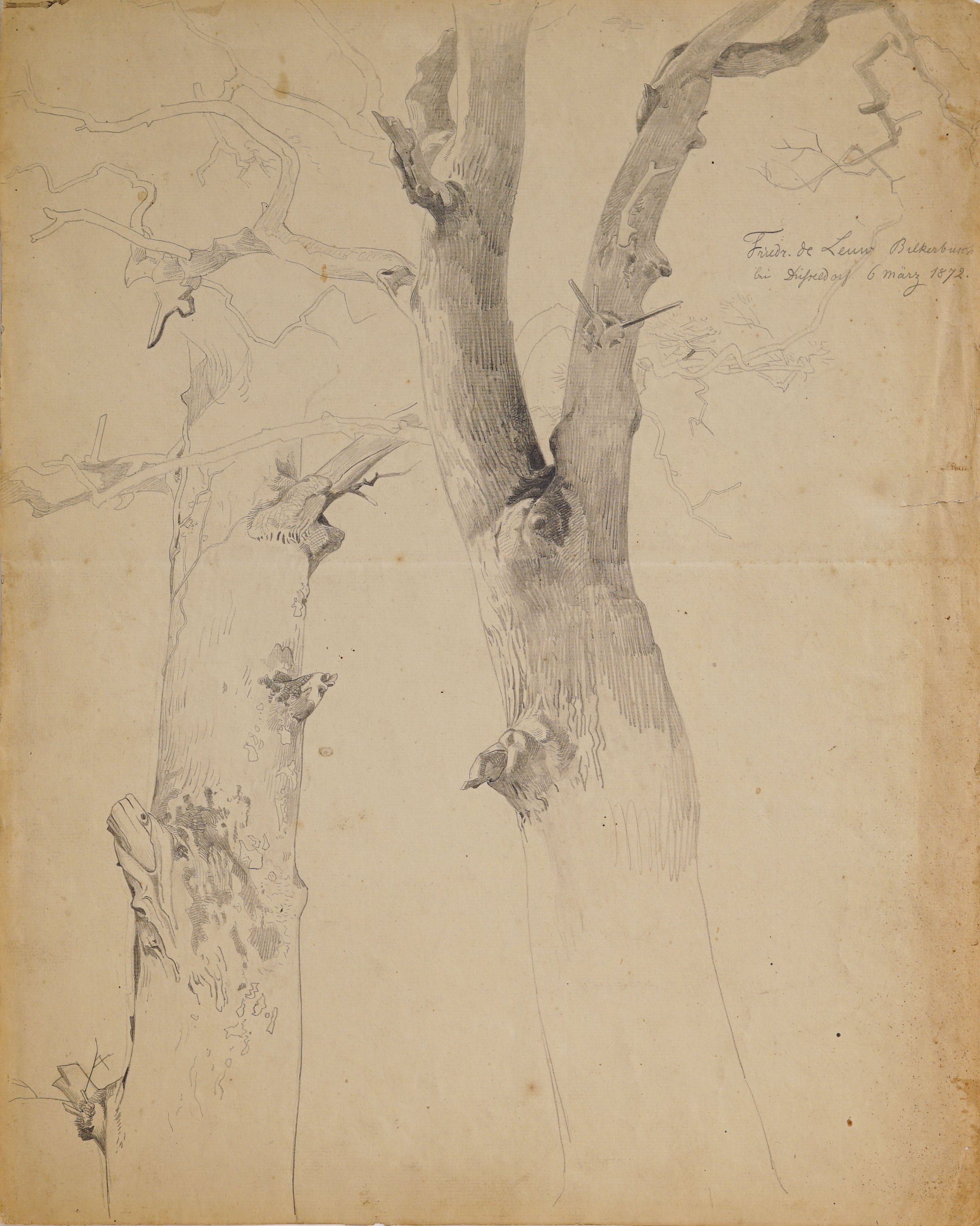 De Leuw, Friedrich "Zwei Bäume im Bilkerbusch" ((C) Kunstmuseum Solingen CC BY-NC)
