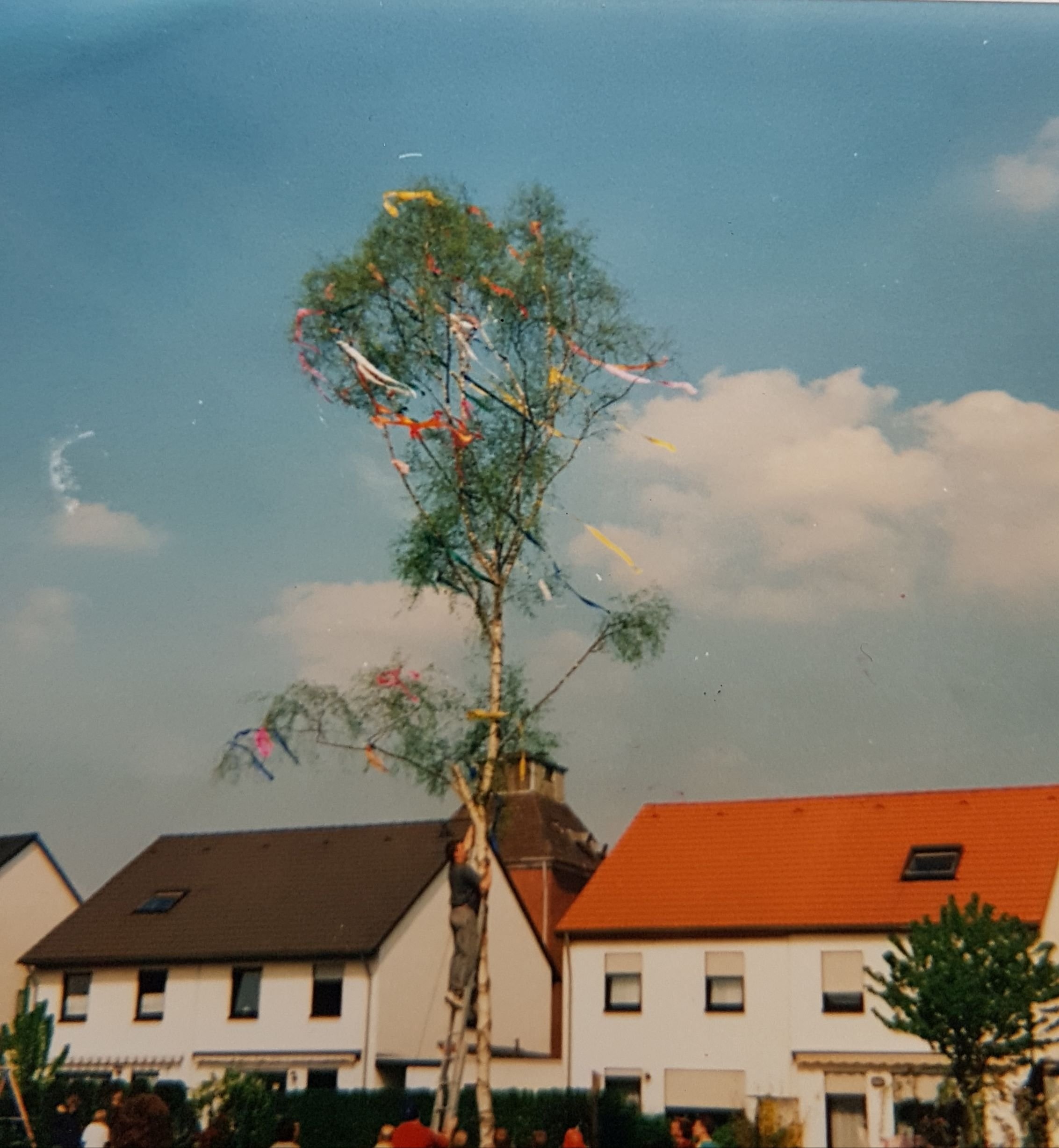1. Mai | Maibaum | Lammertsheck/Am Keuschenhof | 1979 (Heimatmuseum Sindorf CC BY-NC-SA)
