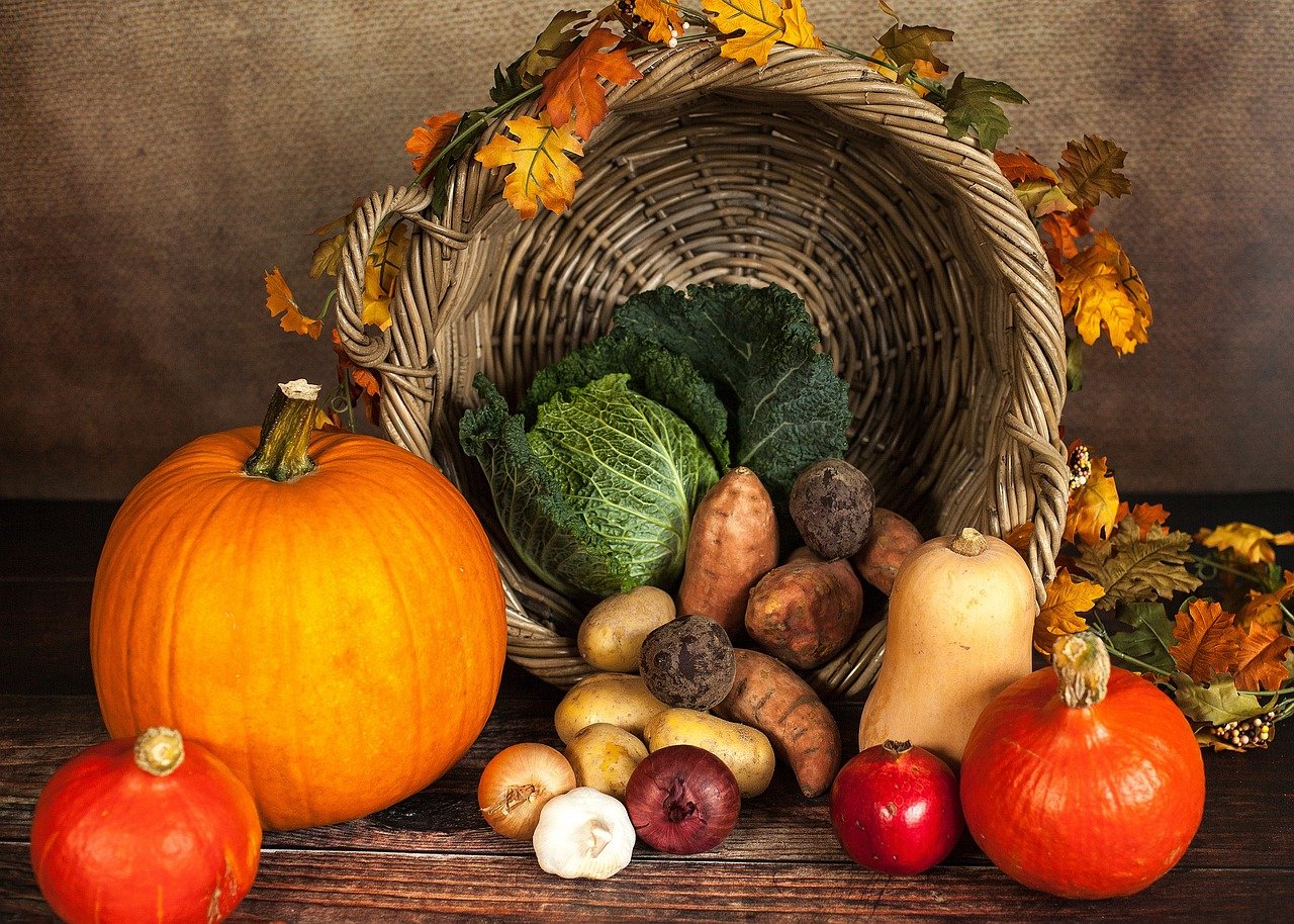 Erntedankfest für Kinder | Das Erntedankfest - Herbstlicher Brauch mit langer Tradition (Pixabay CC BY-NC-SA)