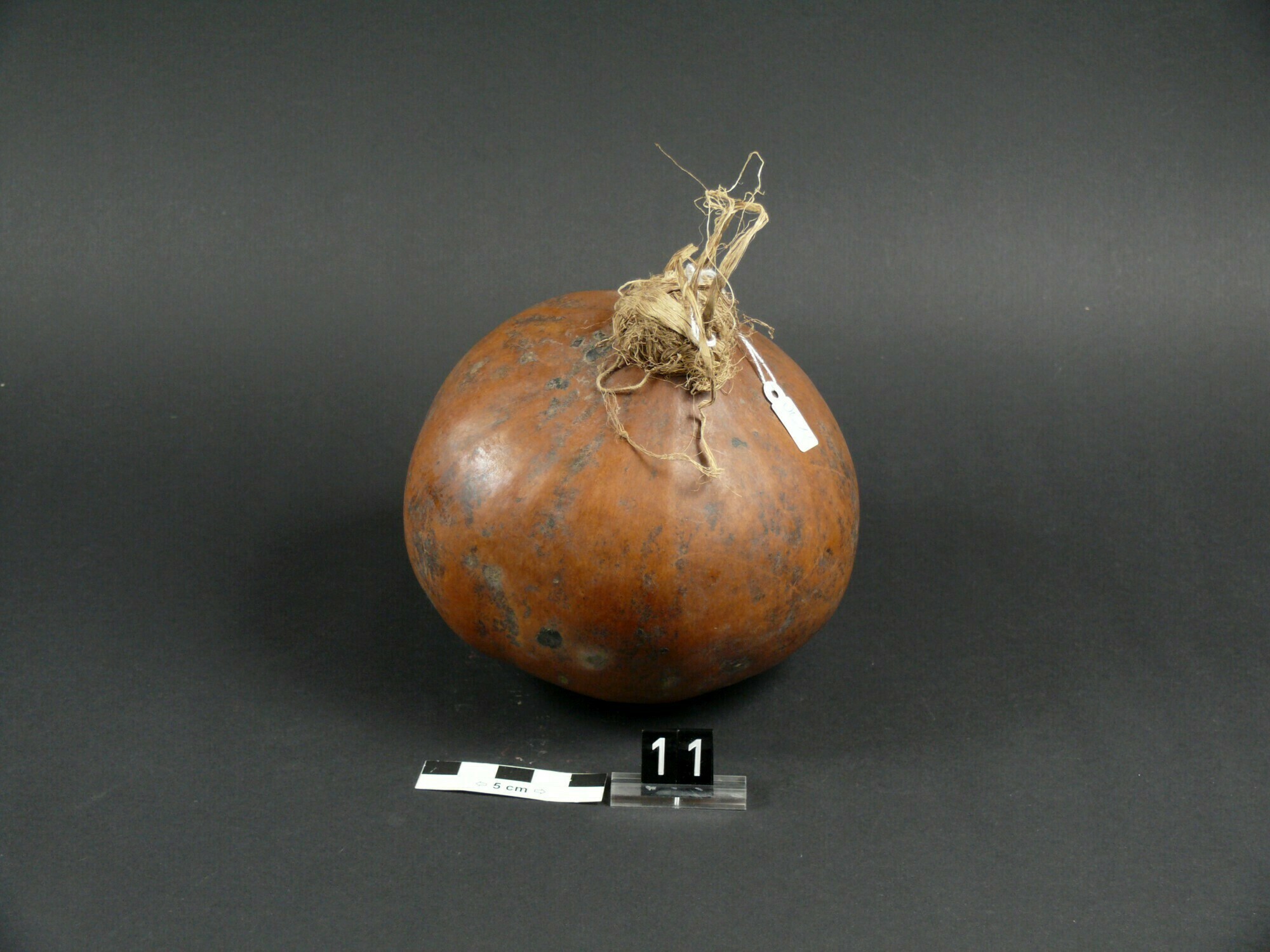 Inv.Nr. UL11 - Kalebasse (BASA Museum CC BY-NC-ND)