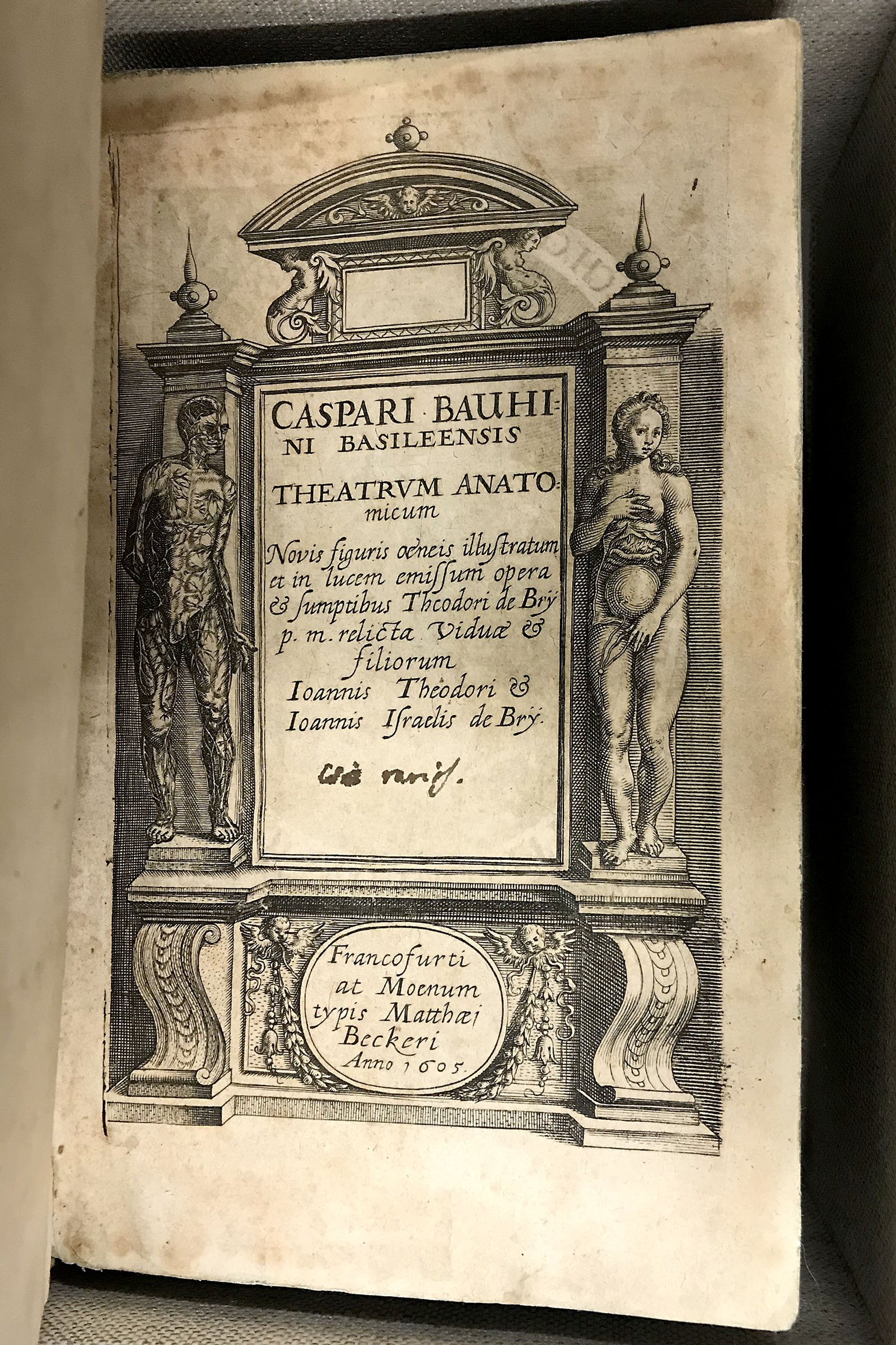 Caspar Baudin, Theatrum Anatomicum (Wilhelm-Fabry-Museum CC BY-NC-SA)