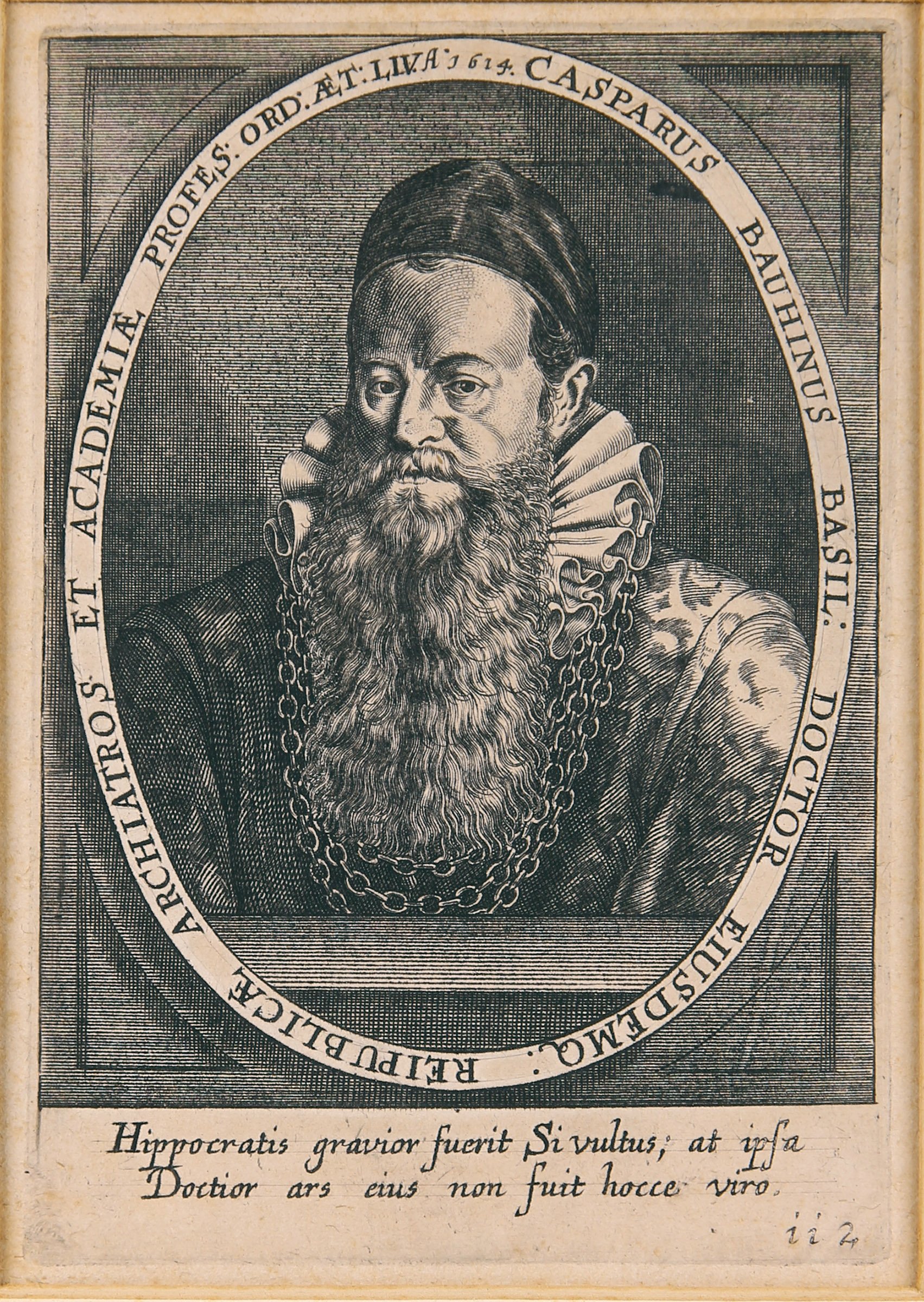 Porträt Caspar Bauhin (Wilhelm-Fabry-Museum CC BY-NC-SA)