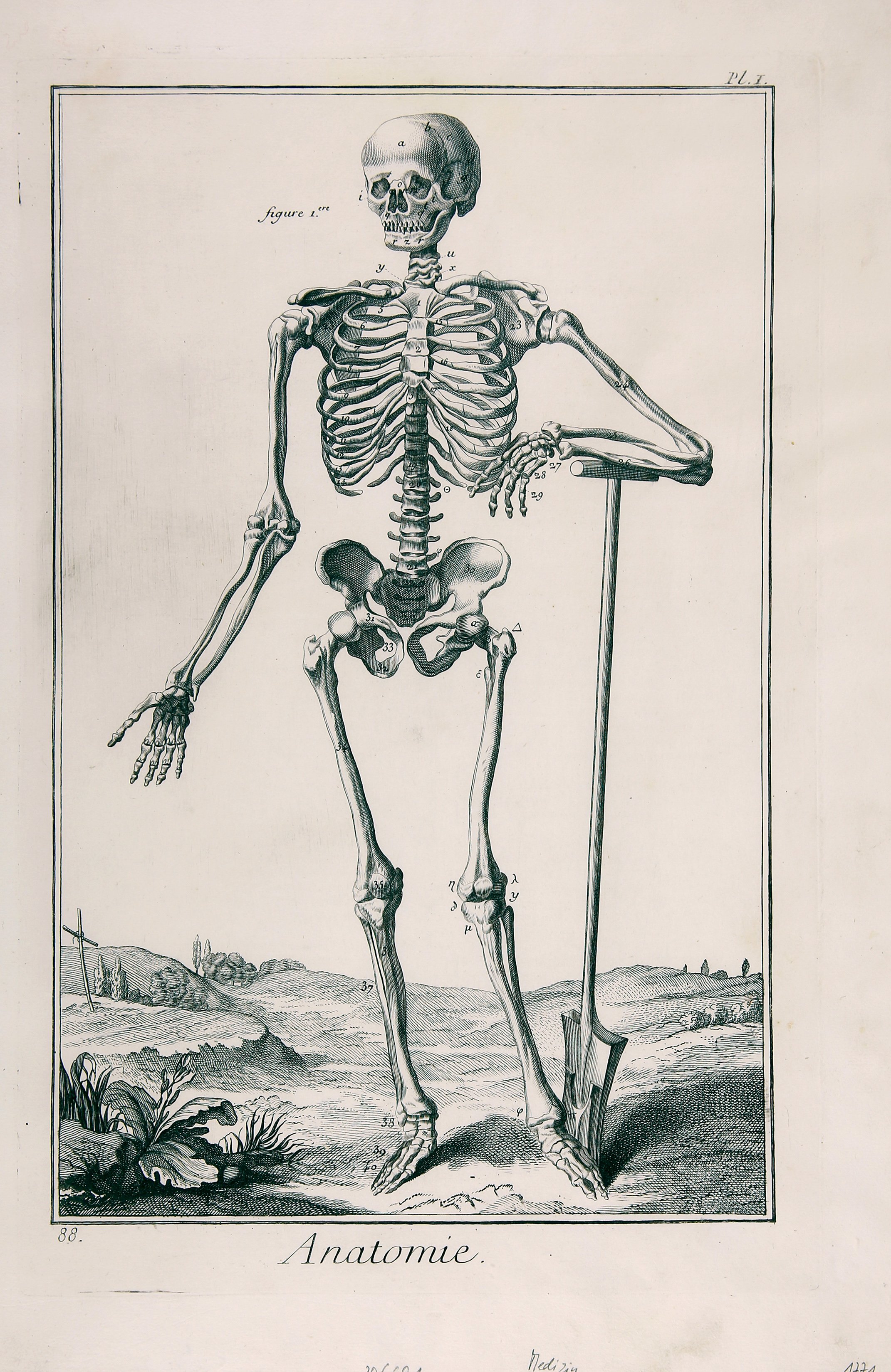 Anatomie, Pl. I (Wilhelm-Fabry-Museum CC BY-NC-SA)