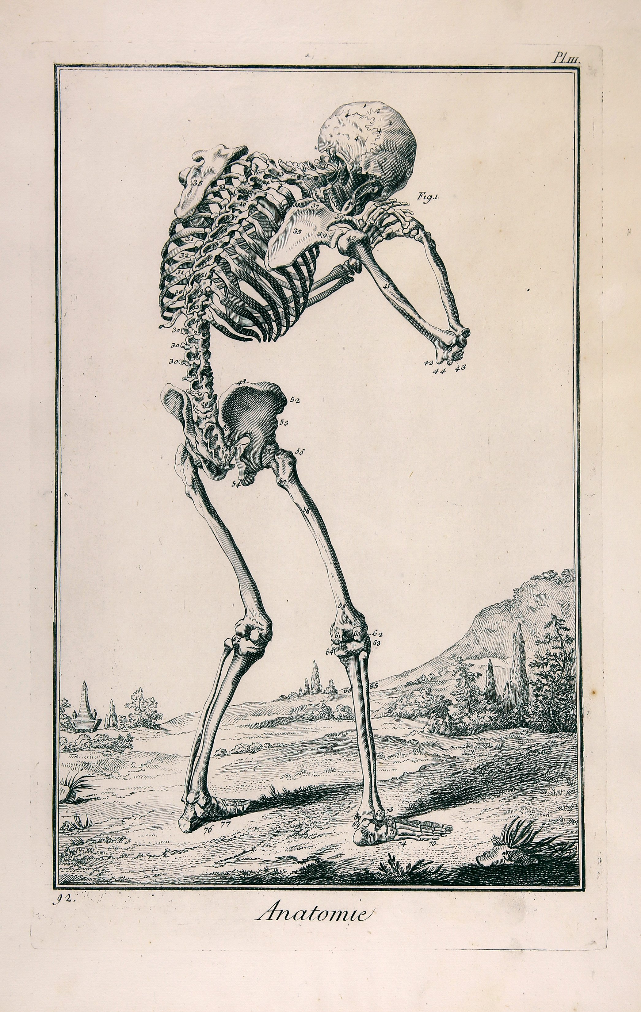 Anatomie, Planche III (Wilhelm-Fabry-Museum CC BY-NC-SA)