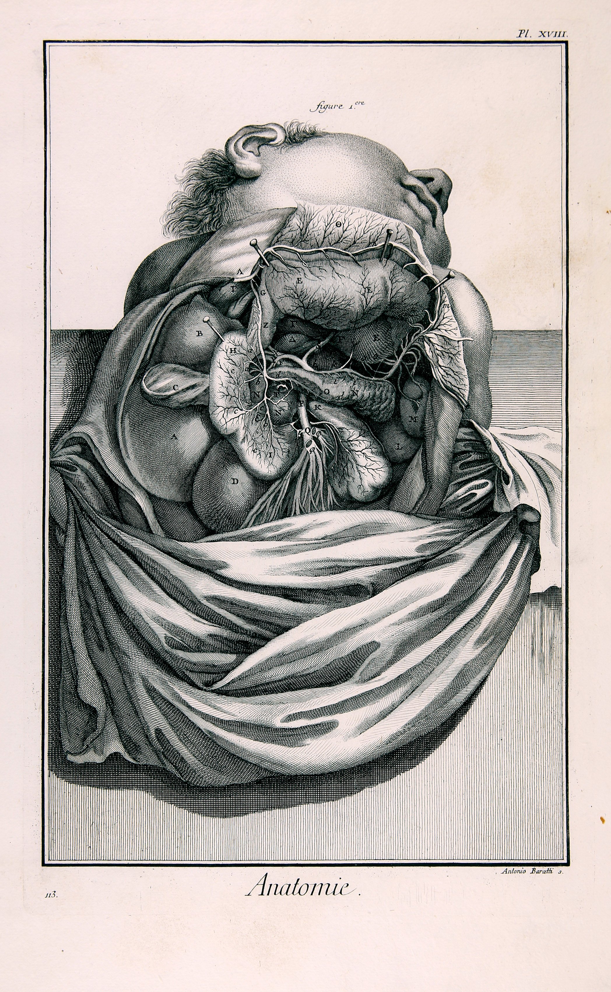 Anatomie, Pl. XVIII (Wilhelm-Fabry-Museum CC BY-NC-SA)