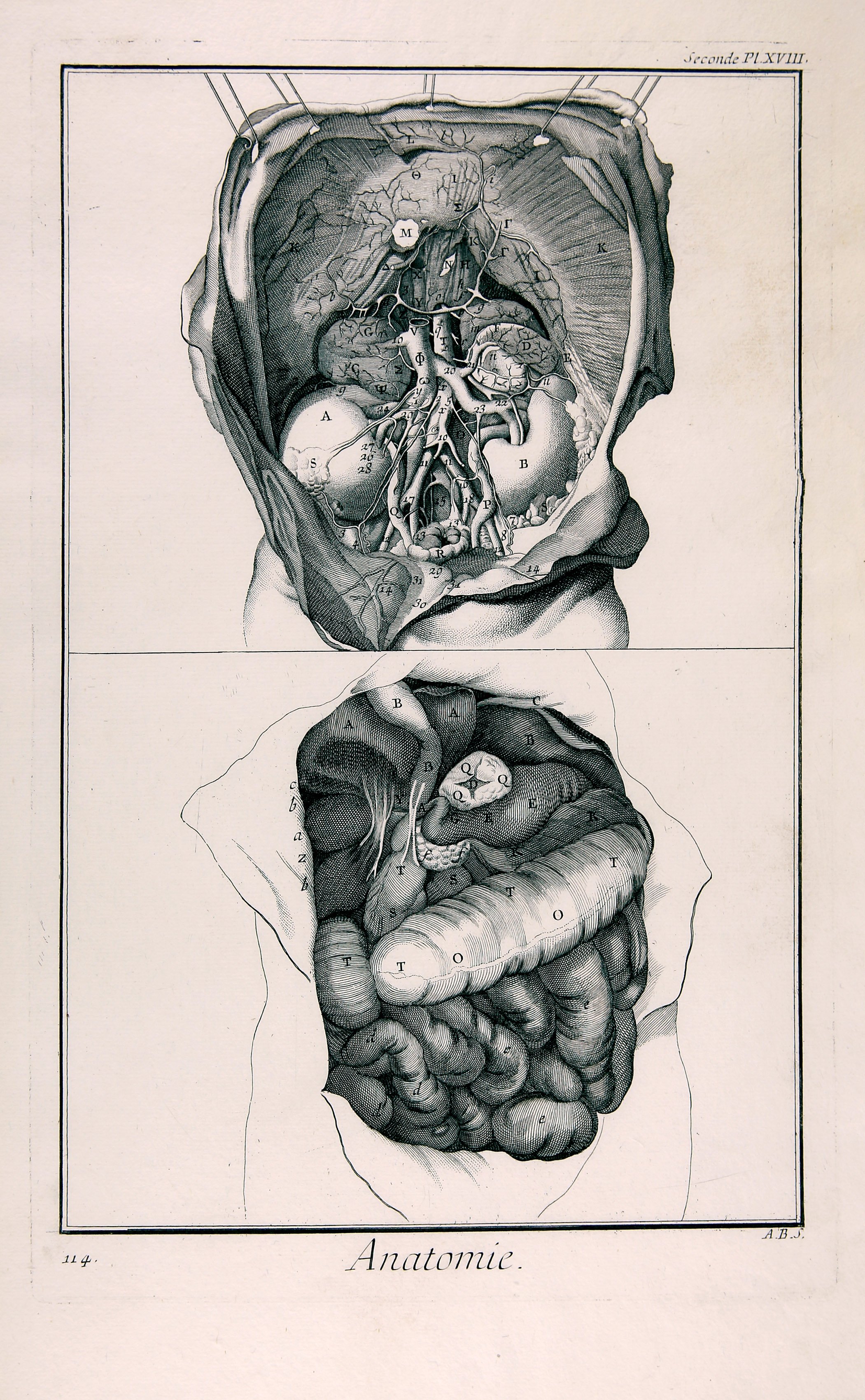 Anatomie, Seconde Pl. XVIII (Wilhelm-Fabry-Museum CC BY-NC-SA)