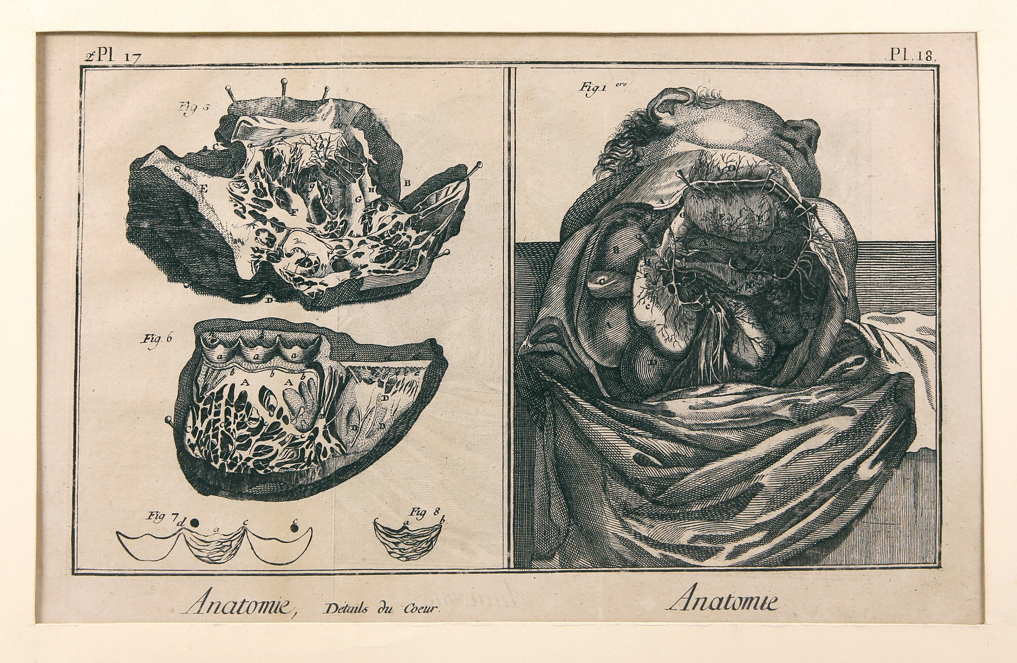 Anatomie, deuxieme Pl. 17 & Pl. 18 (Wilhelm-Fabry-Museum CC BY-NC-SA)