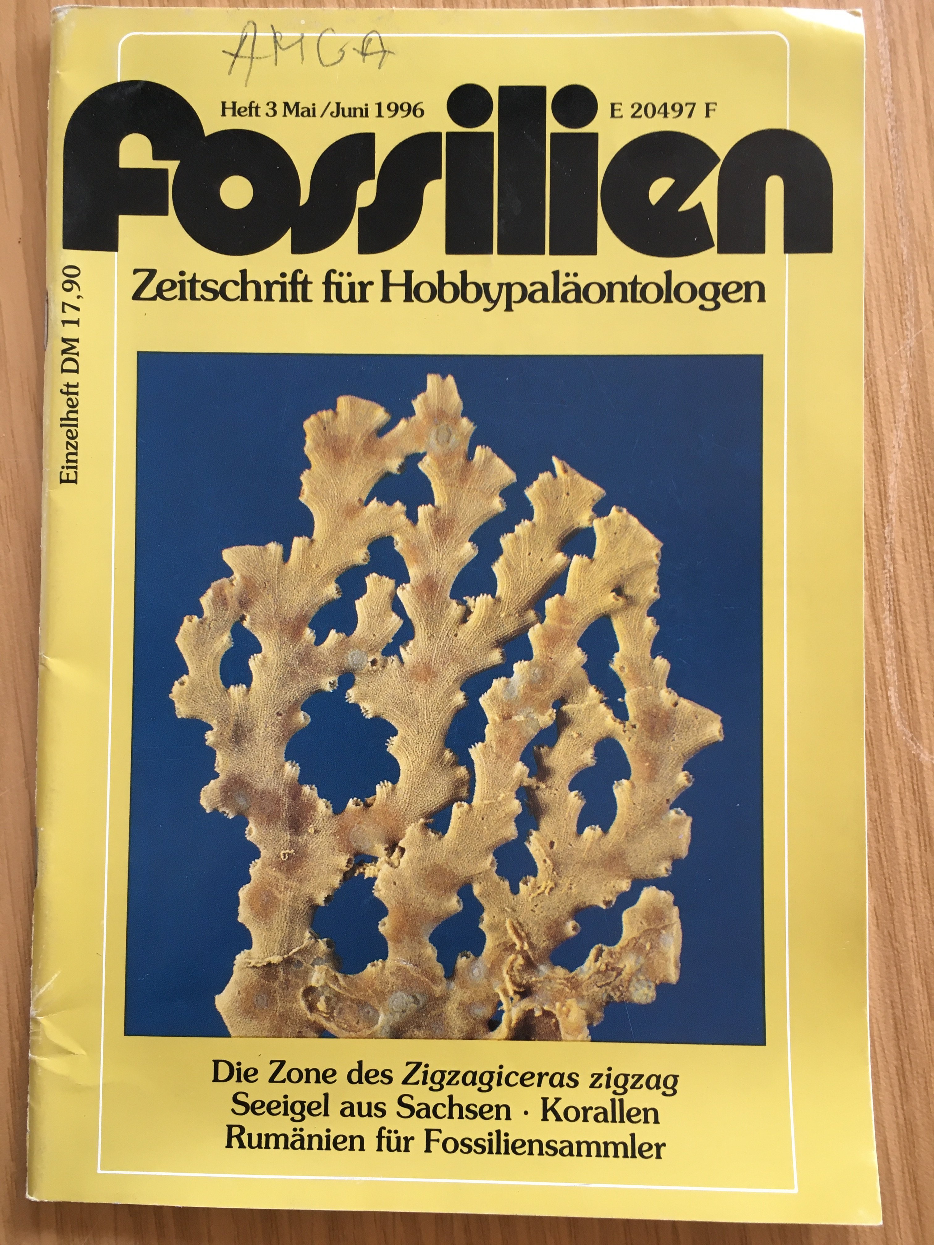Fossilien. Zeitschrift für Hobbypaläontologen. (Besucherbergwerk und Bergbaumuseum "Grube Silberhardt" CC BY-NC-SA)