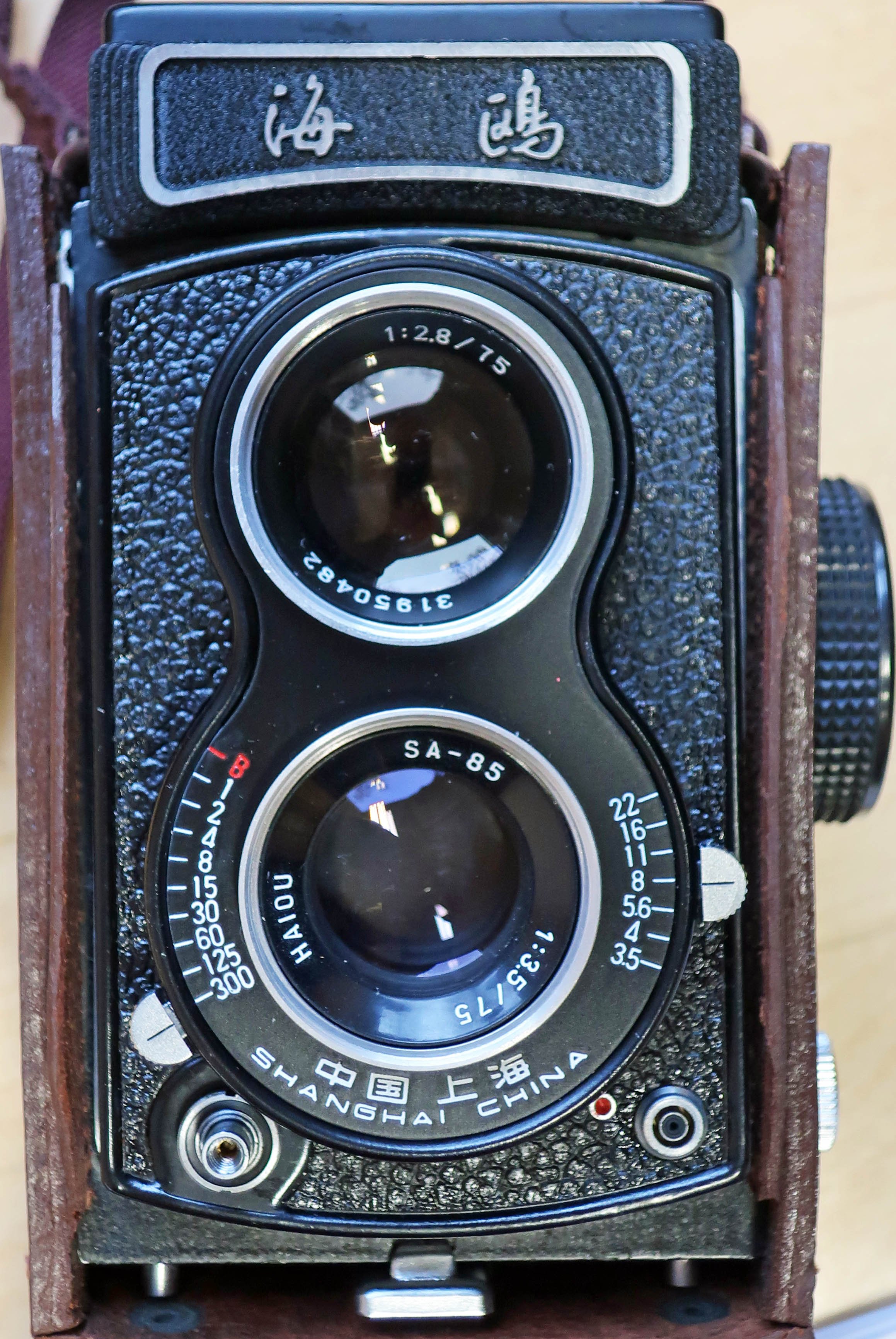 Großbildkamera	SEAGULL (museum comp:ex CC BY-NC-SA)