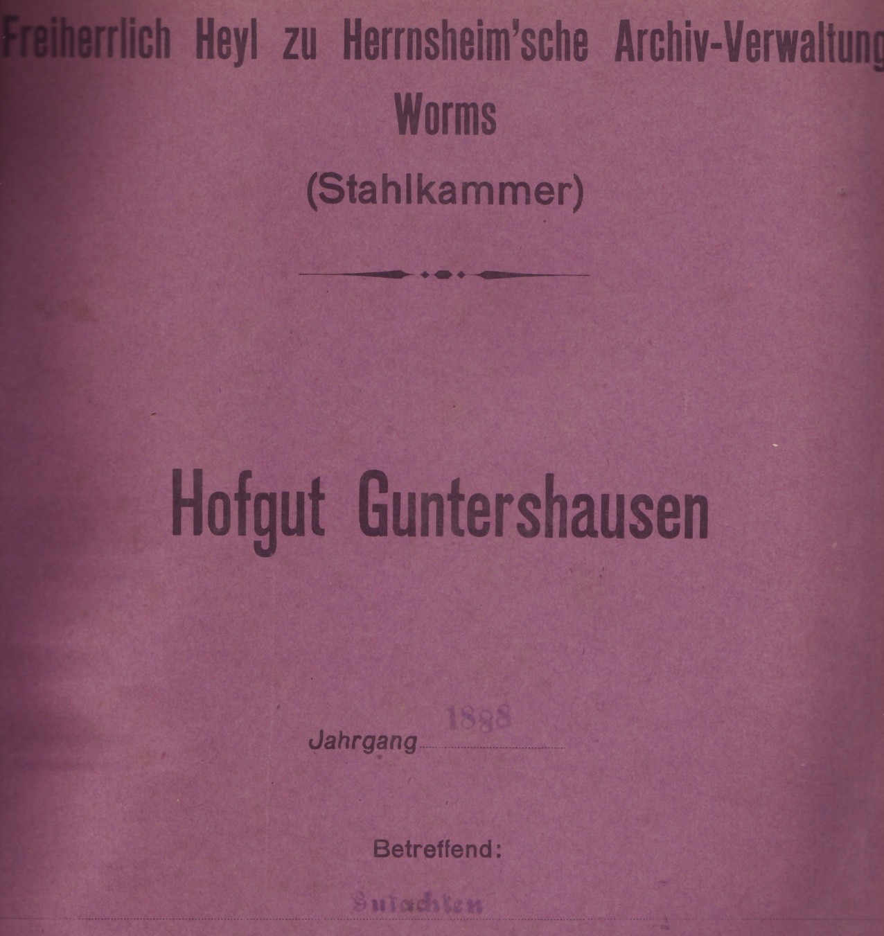 Gutachten Schmitthausen 1888 (Kulturverein Guntersblum CC BY-NC-SA)