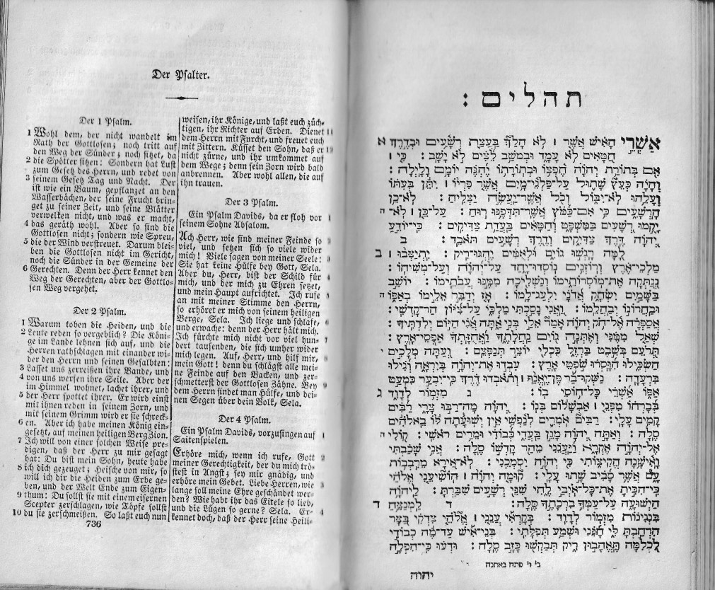 Ger & Heb Bible 2 (Deutsche und Hebräische Bibel, Band 2) (Kulturverein Guntersblum CC BY-NC-SA)