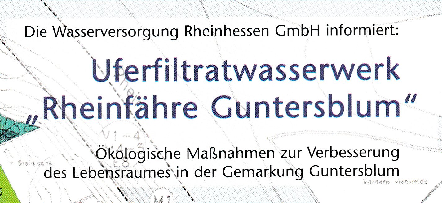 Uferfiltratwasserwerk Rheinfähre Guntersblum (Kulturverein Guntersblum CC BY-NC-SA)