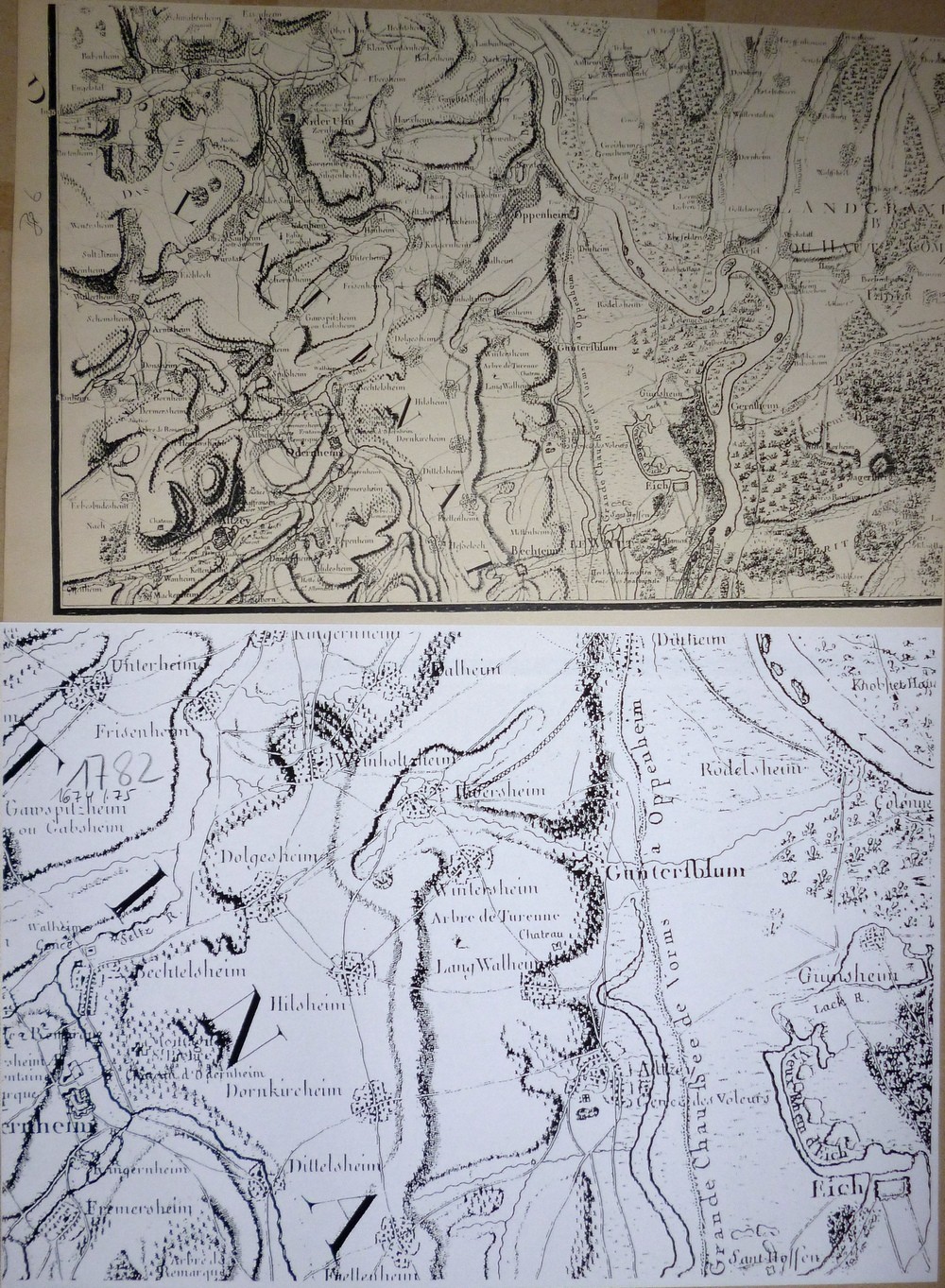 Landkarte 1782 Ausschnitt (Kulturverein Guntersblum CC BY-NC-SA)