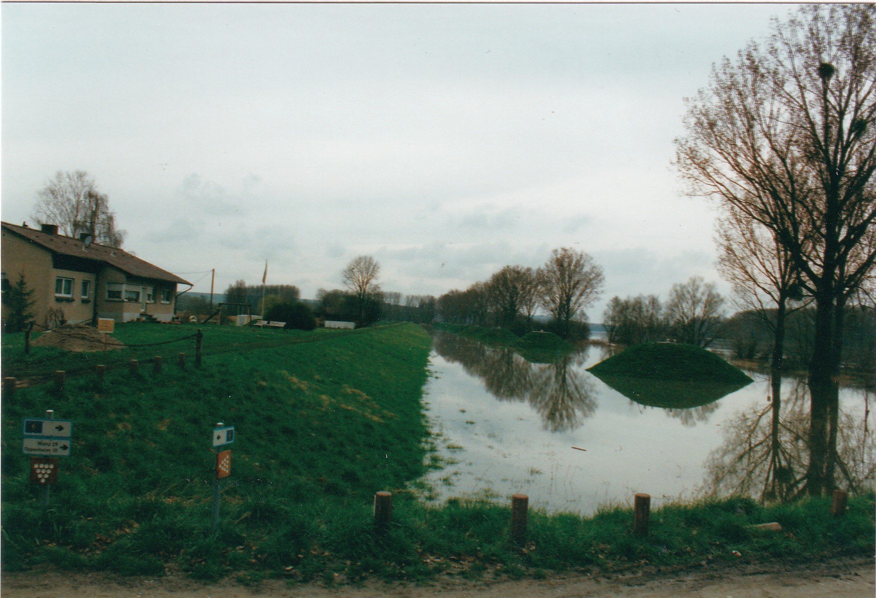 Hochwasser in Guntersblum am Rhein (Museum Guntersblum CC BY-NC-SA)