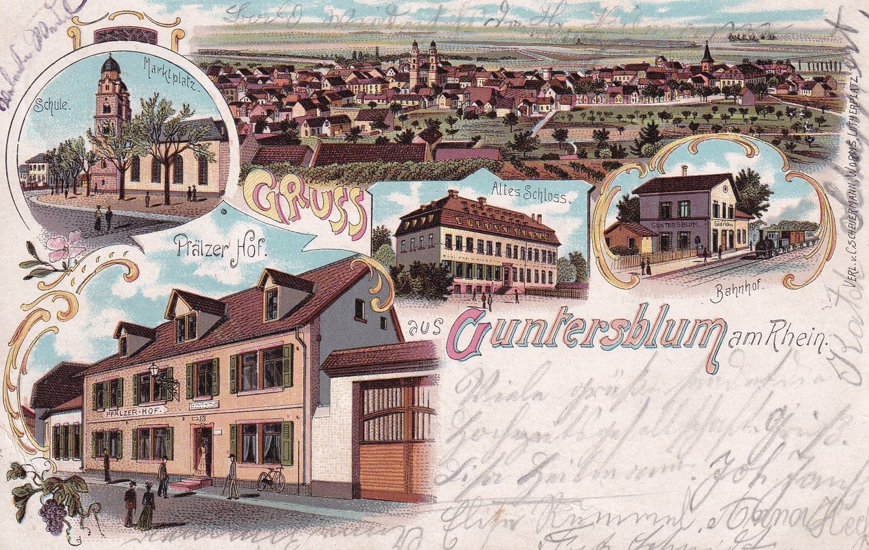 Ansichtspostkartensammlung Guntersblum (Kulturverein Guntersblum CC BY-NC-SA)