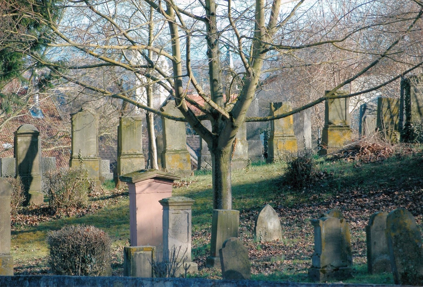 Jüdischer Friedhof (Museum Guntersblum CC BY-NC-SA)