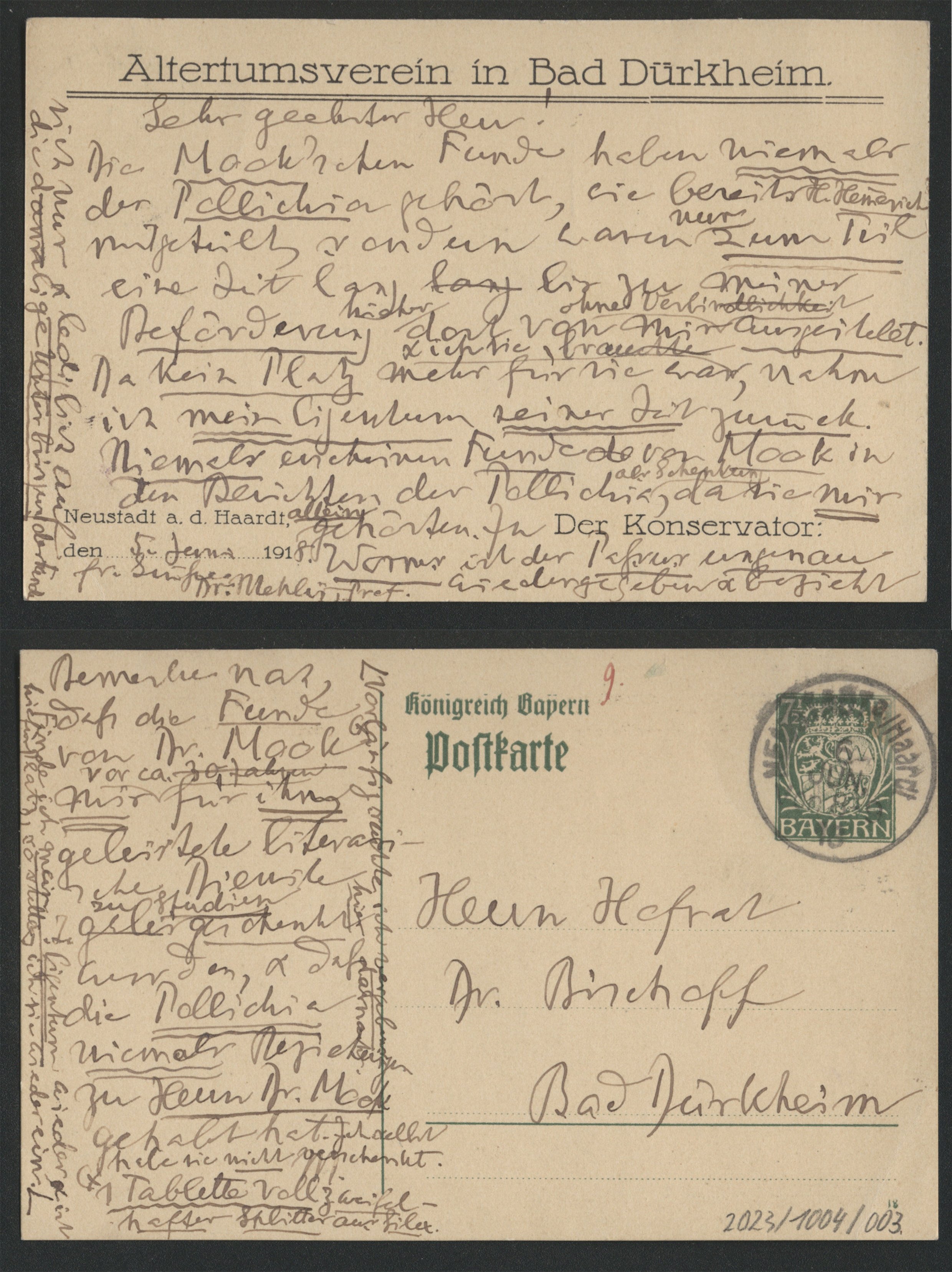 Postkarte von C. Mehlis an Dr. Bischoff (2 Seiten) (Stadtmuseum Bad Dürkheim im Kulturzentrum Haus Catoir CC BY-NC-SA)
